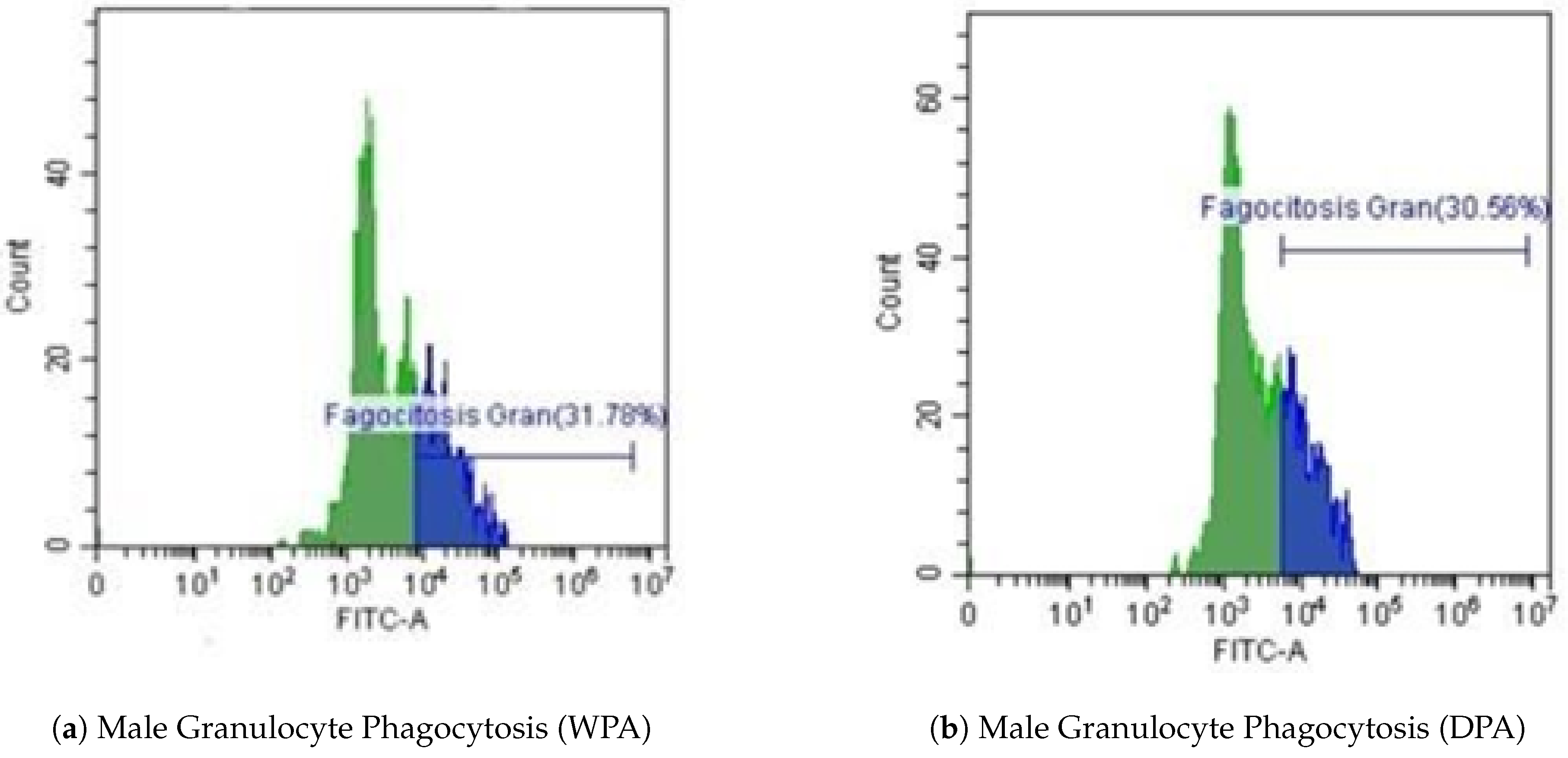 Preprints 192154 g006