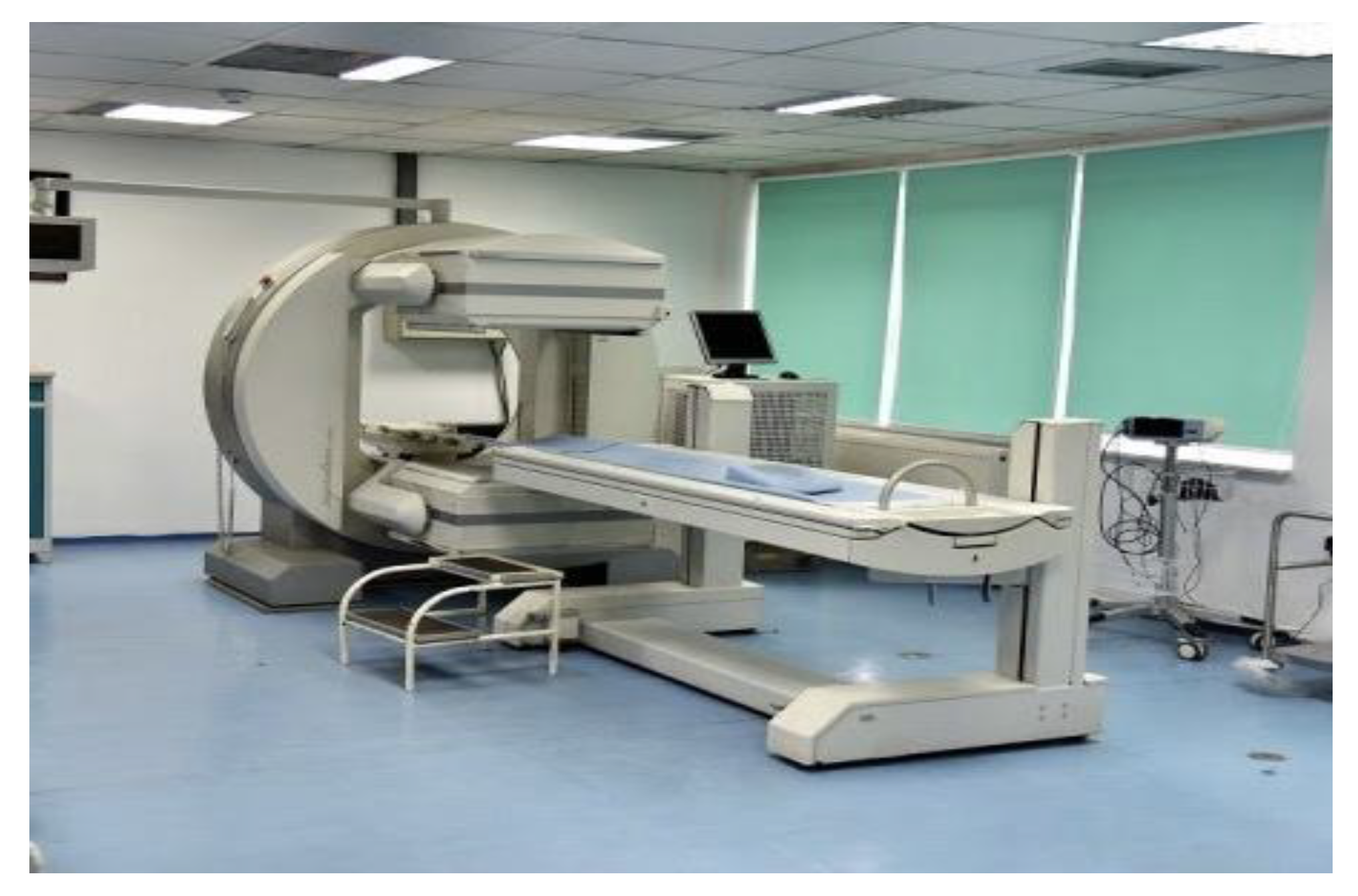 Preprints 190180 g002