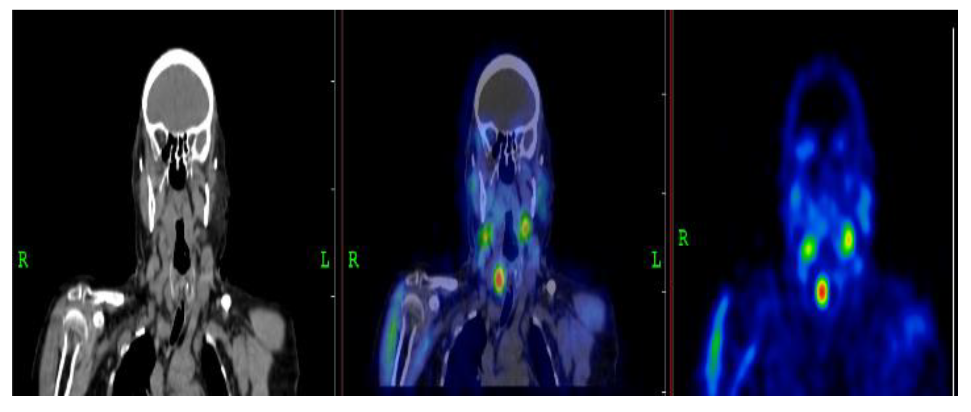 Preprints 190180 g004