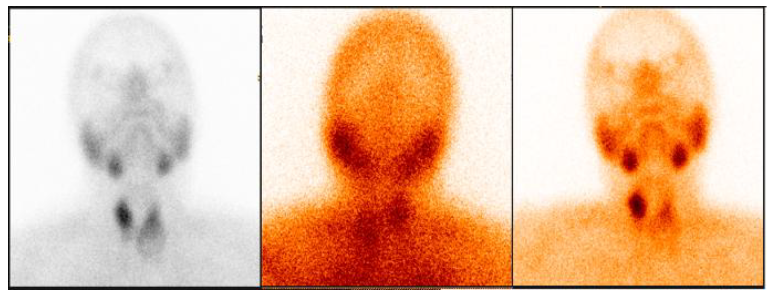 Preprints 190180 g005