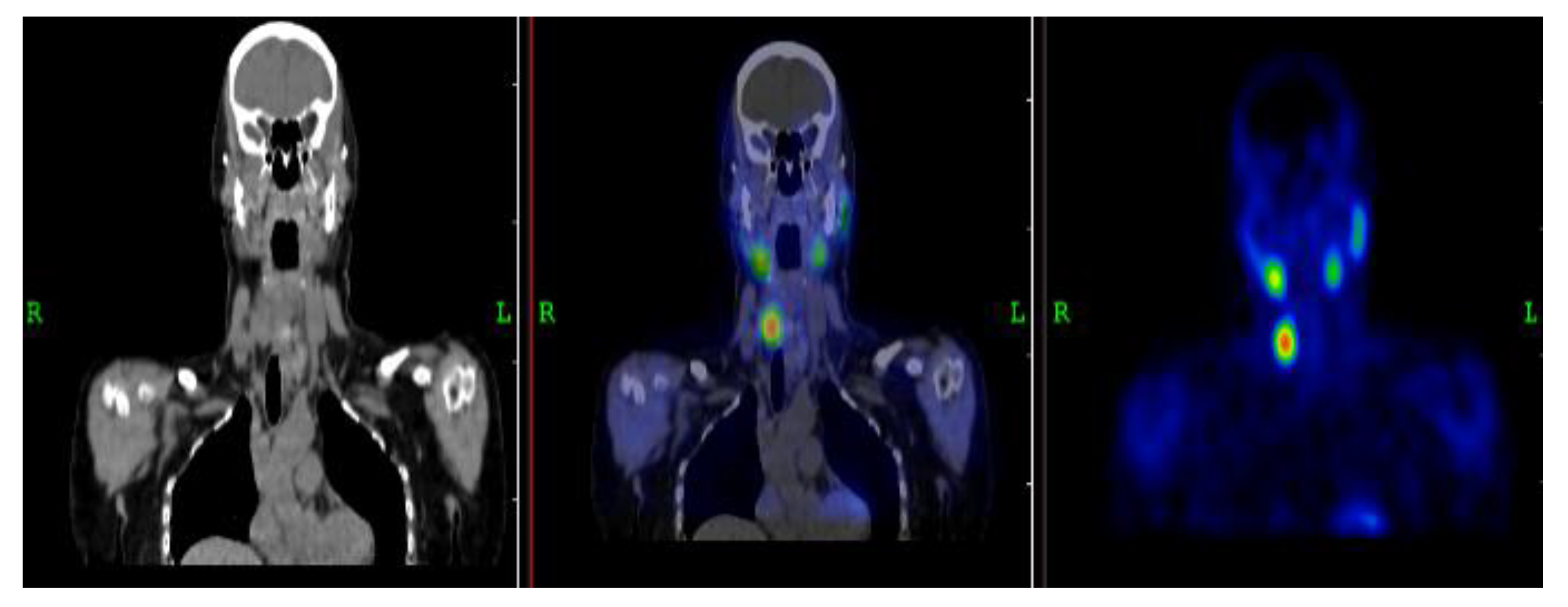 Preprints 190180 g006