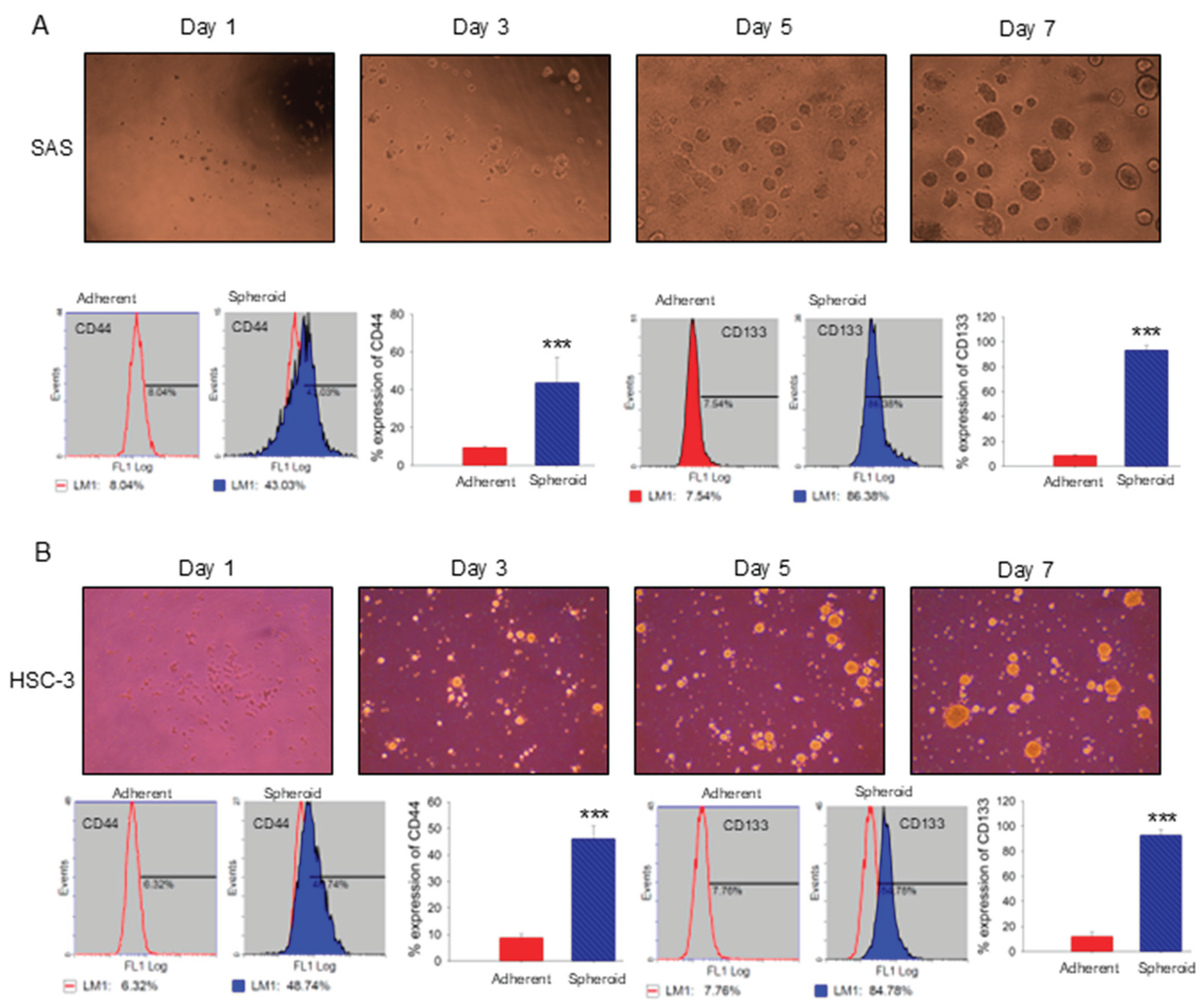Preprints 178735 g005