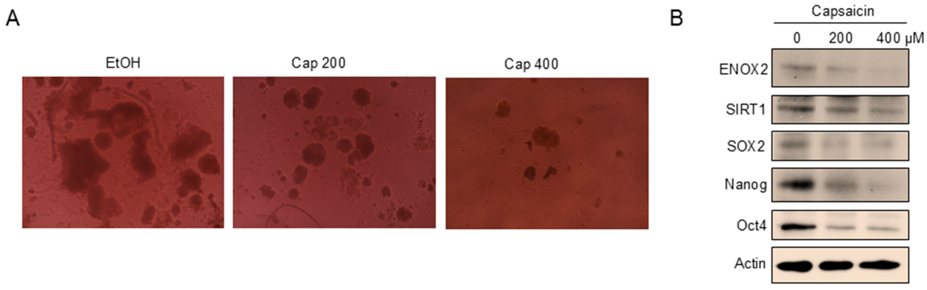 Preprints 178735 g008