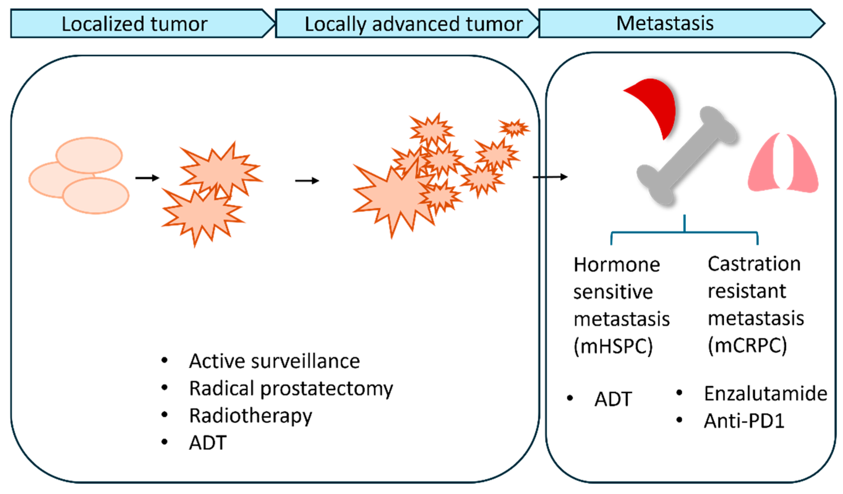 Preprints 138255 g001