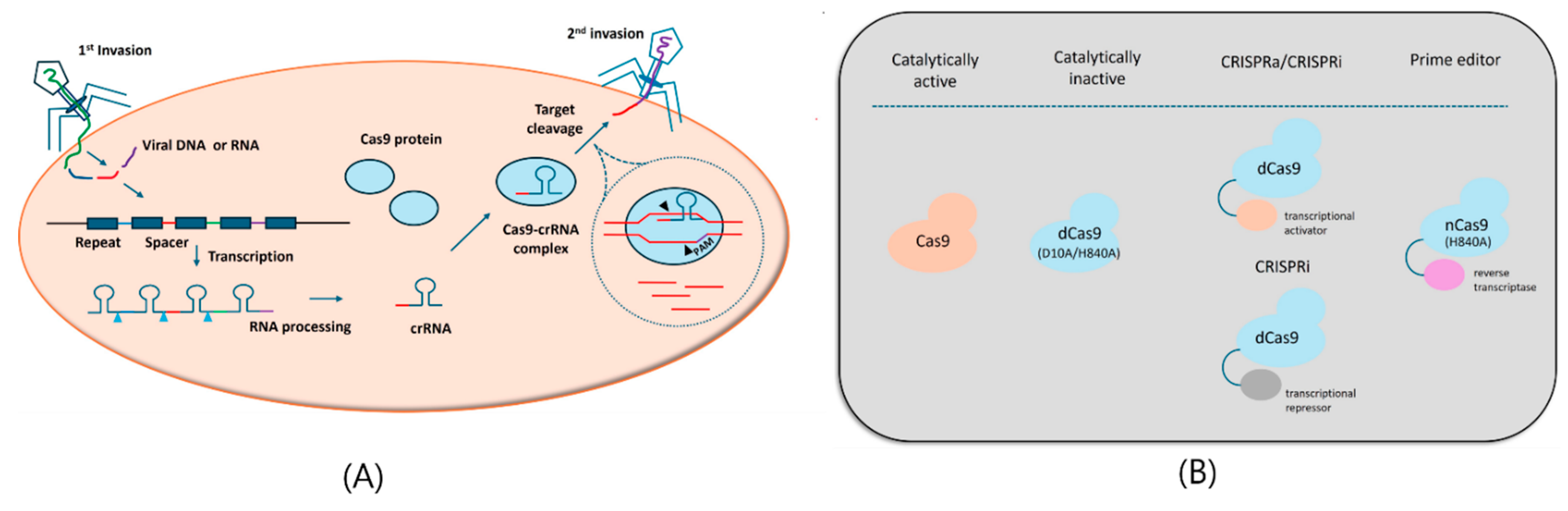 Preprints 138255 g003
