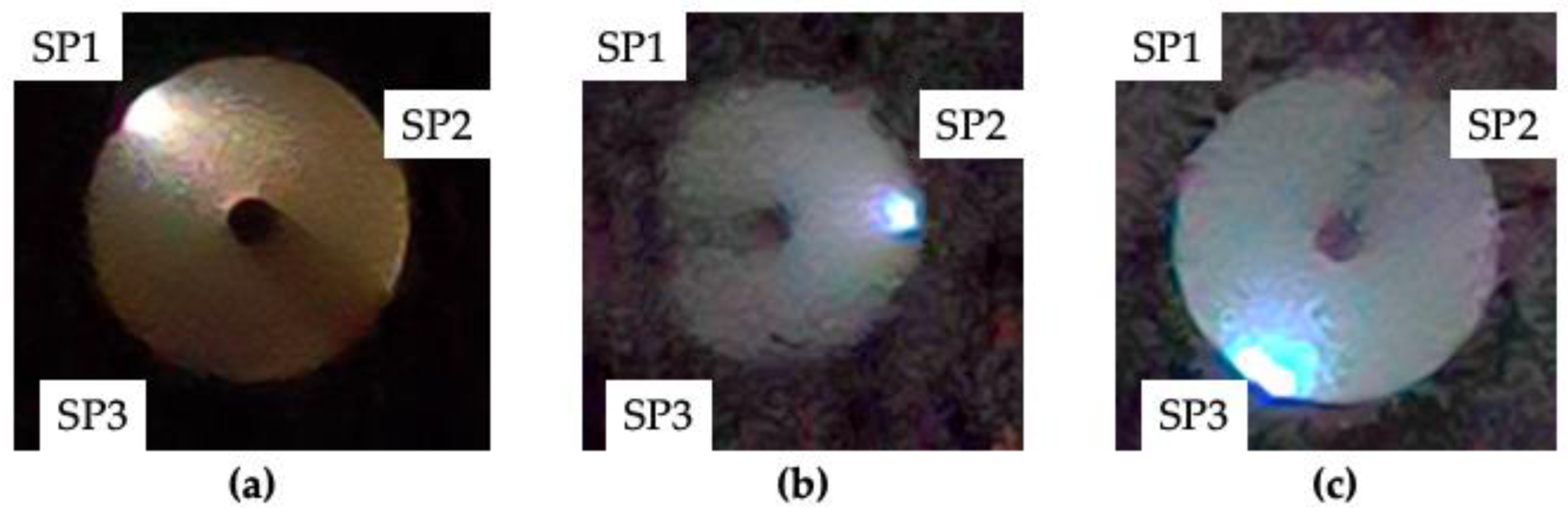 Preprints 194514 g014