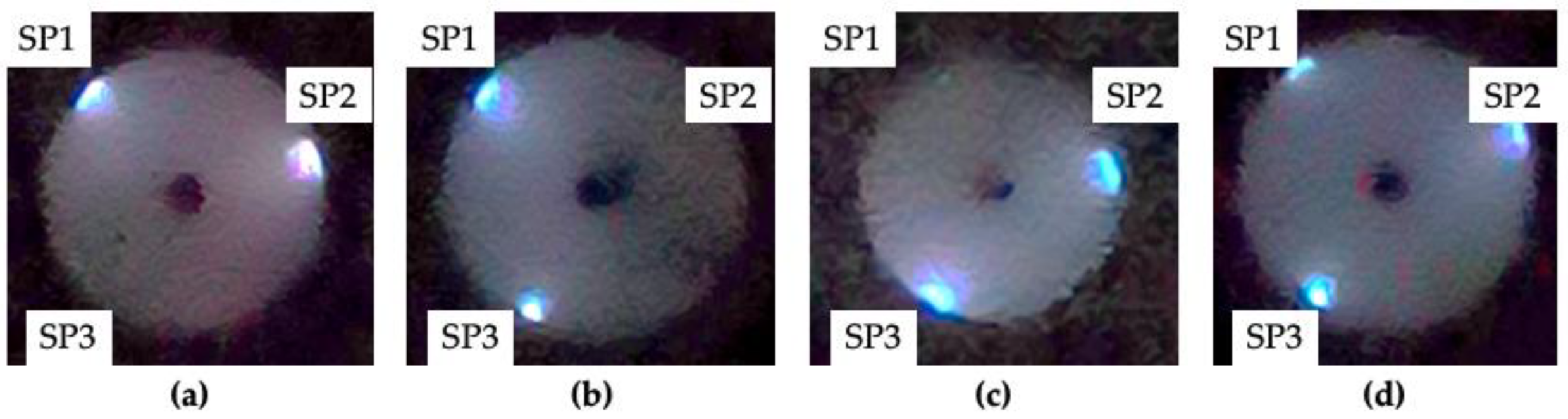Preprints 194514 g015