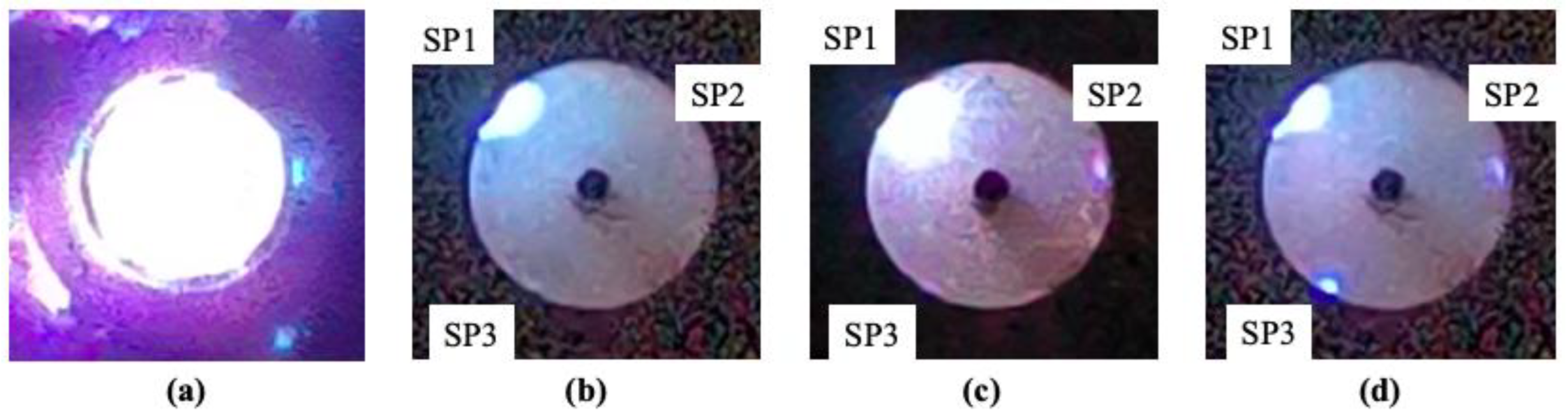 Preprints 194514 g016