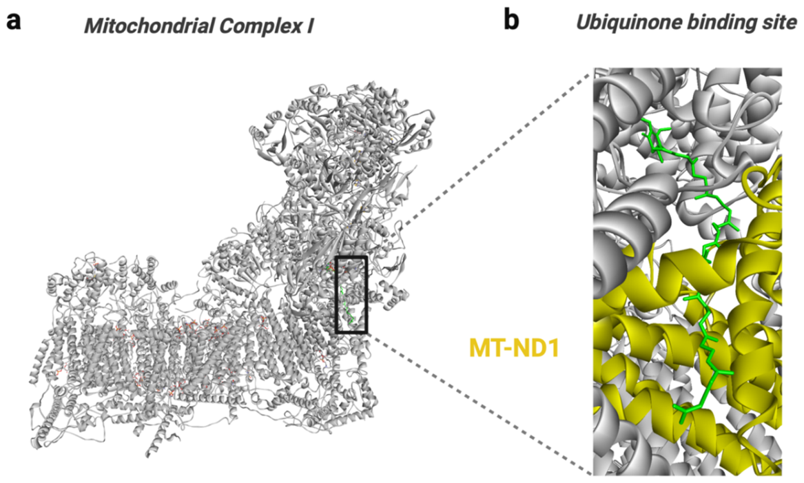 Preprints 233327 g001