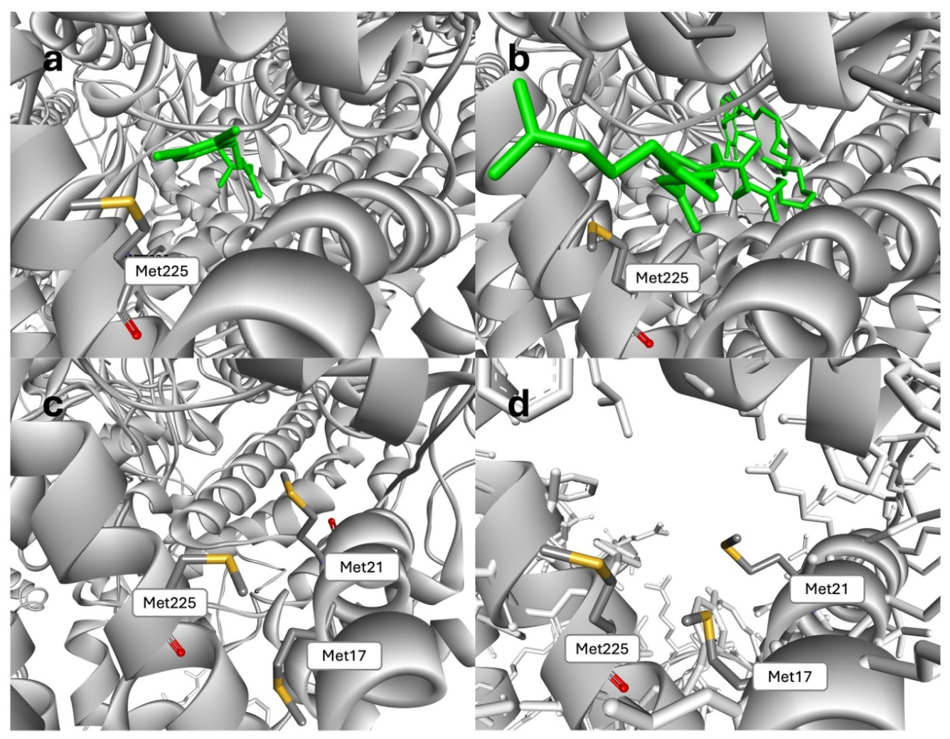 Preprints 233327 g002