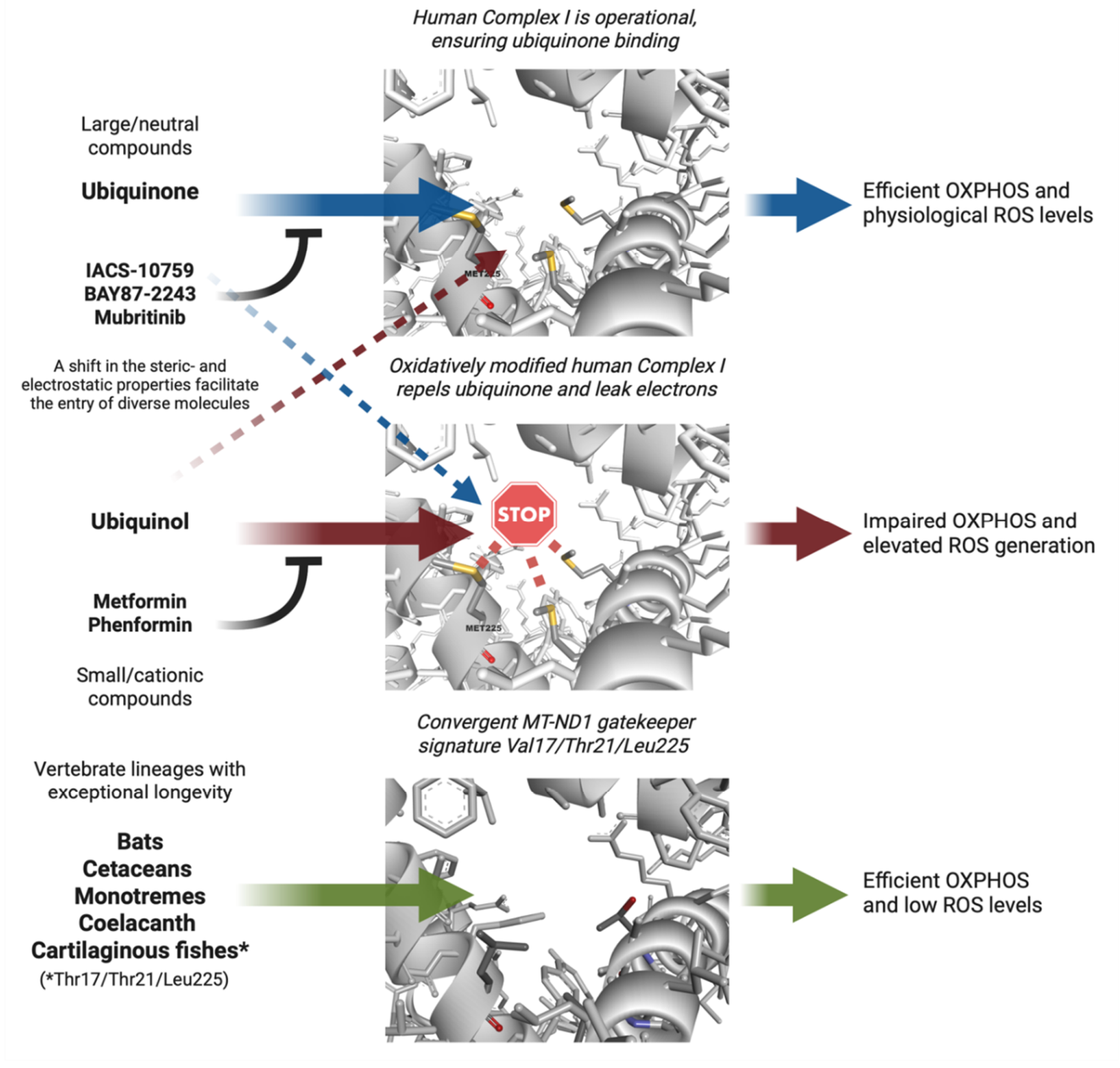 Preprints 233327 g003