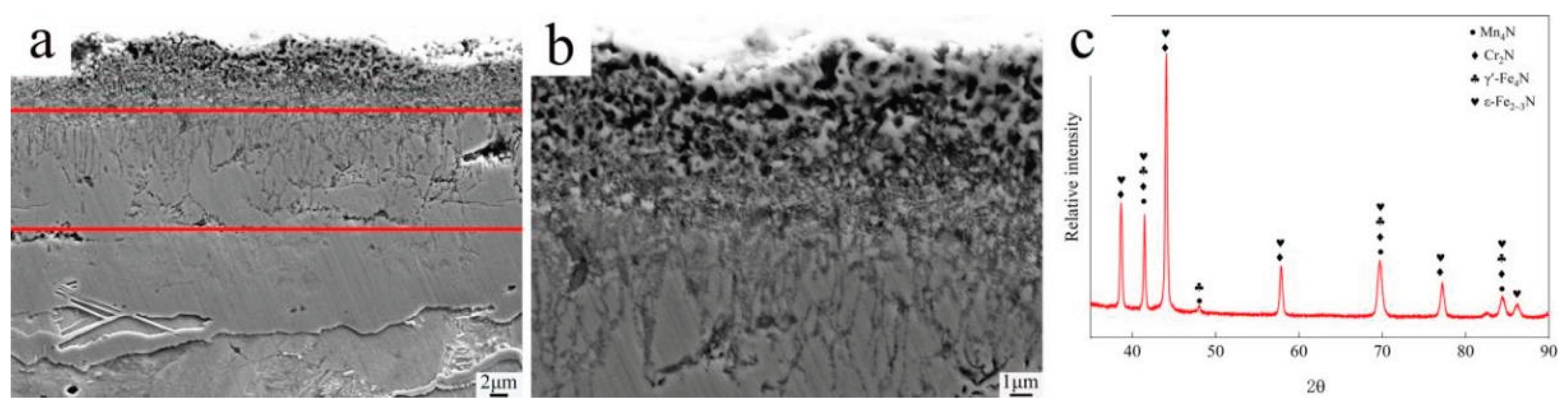 Preprints 195204 g002