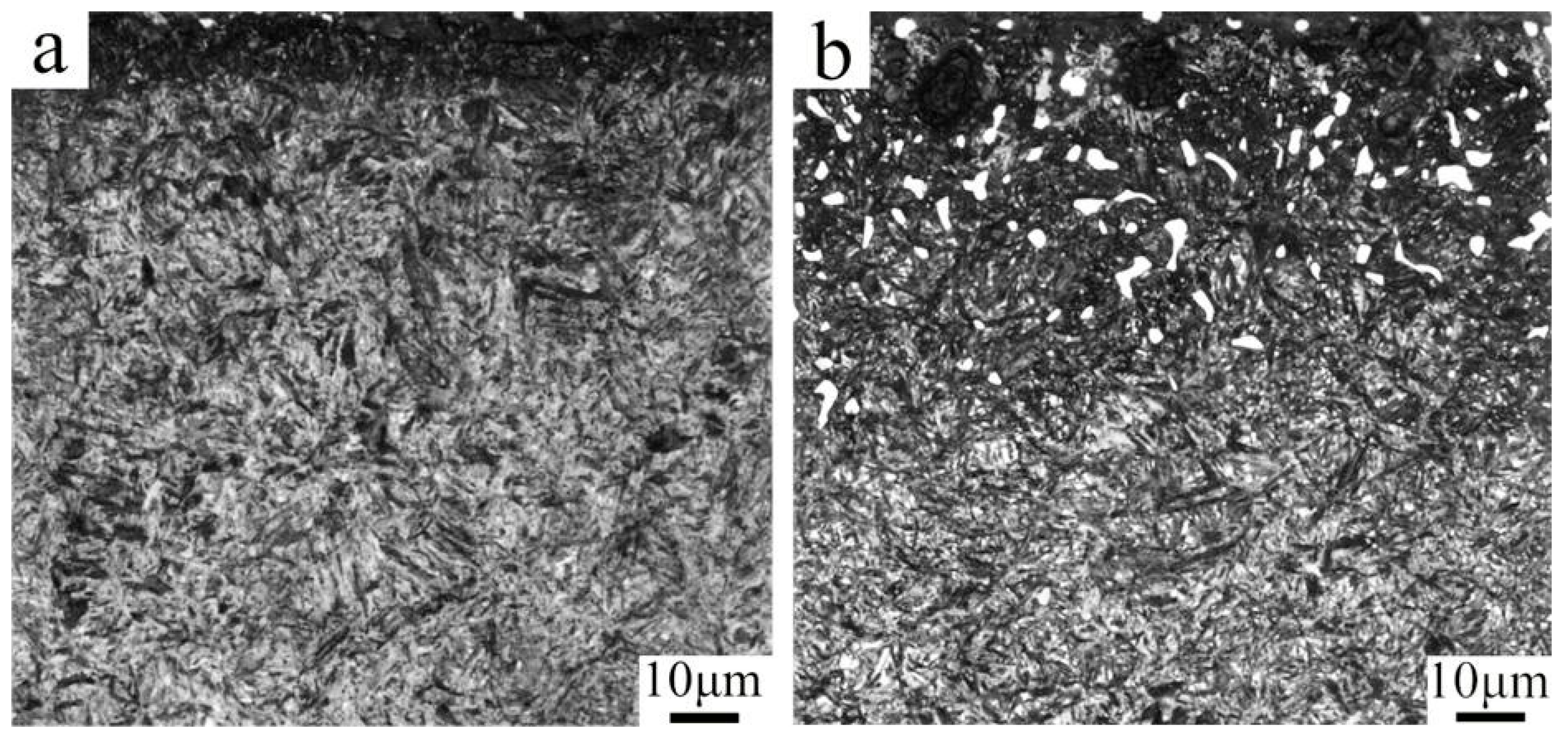 Preprints 195204 g005