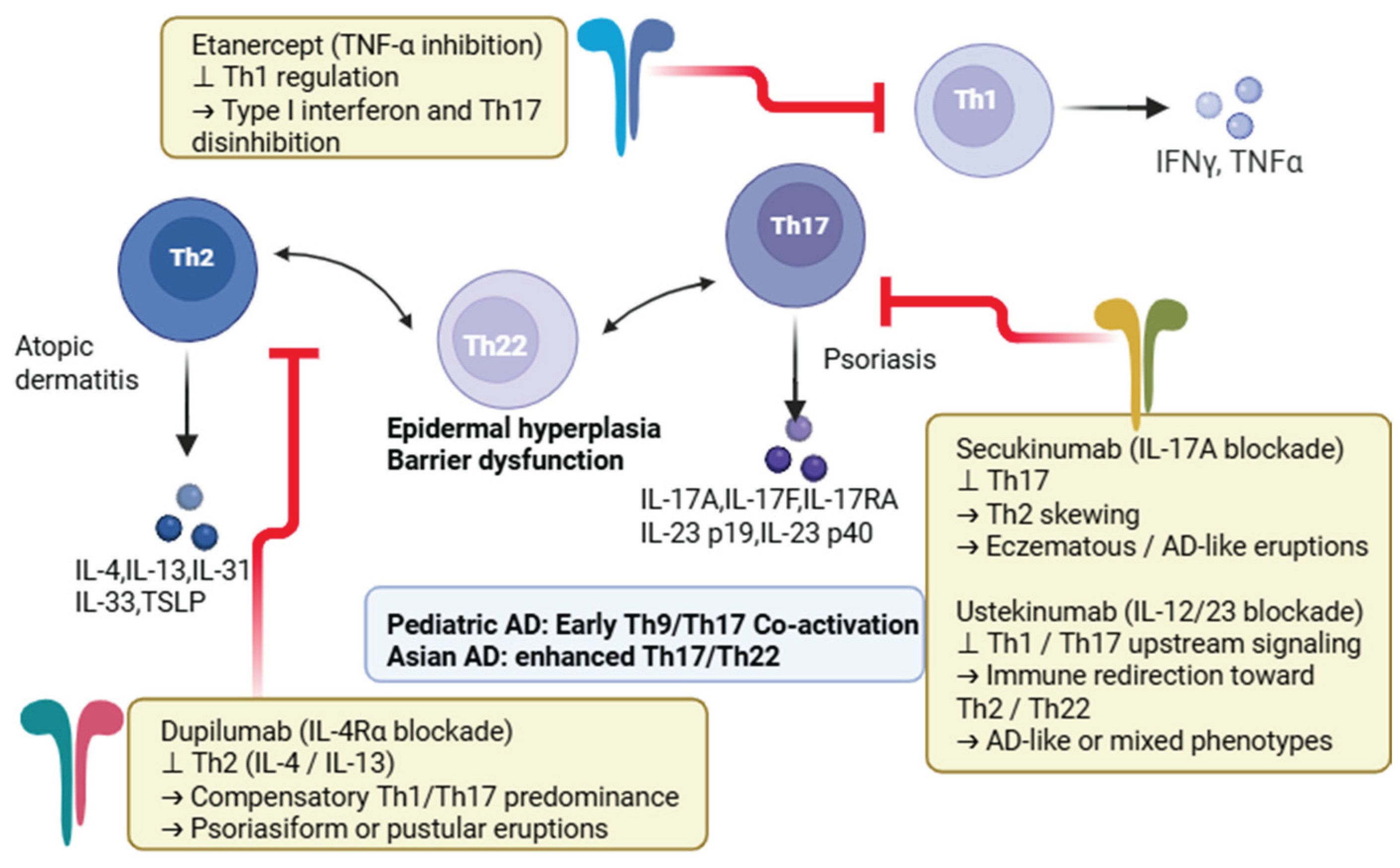 Preprints 233509 g002