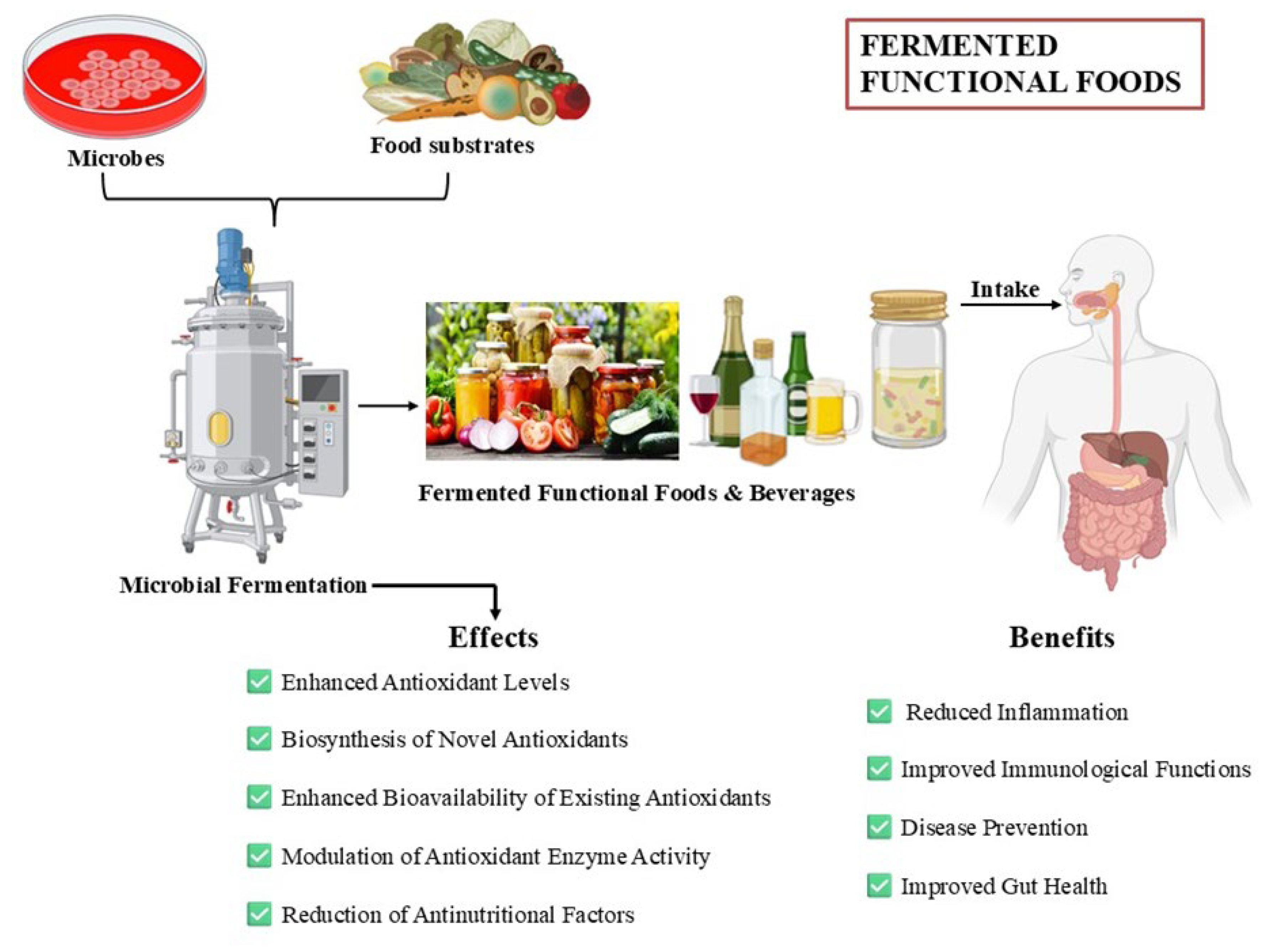 Preprints 159319 g001