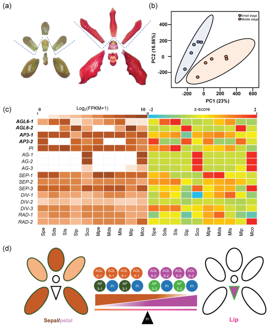 Preprints 226188 g002