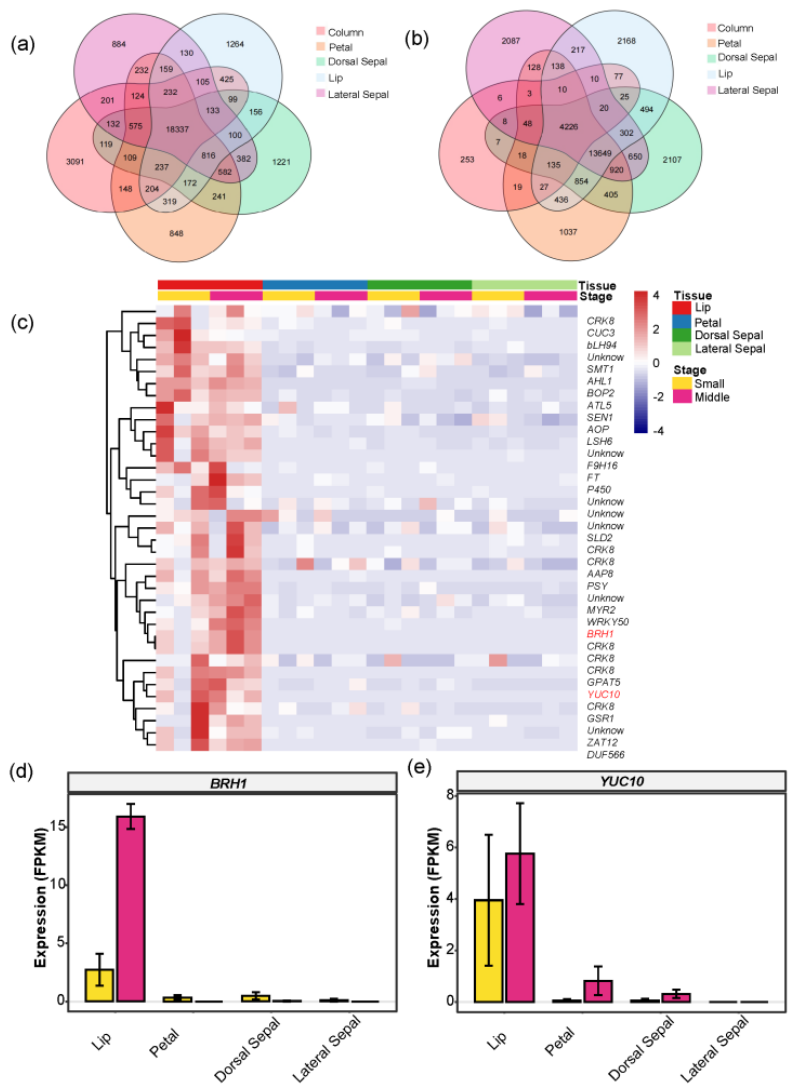 Preprints 226188 g003