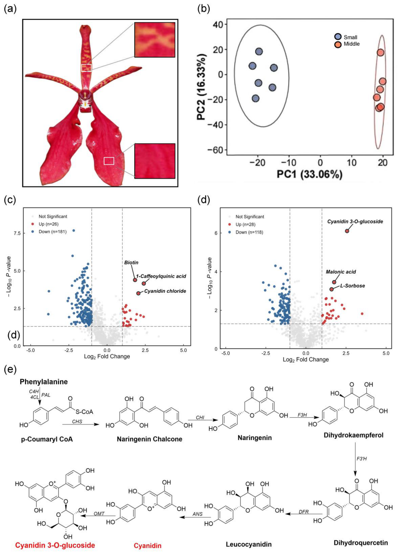 Preprints 226188 g004