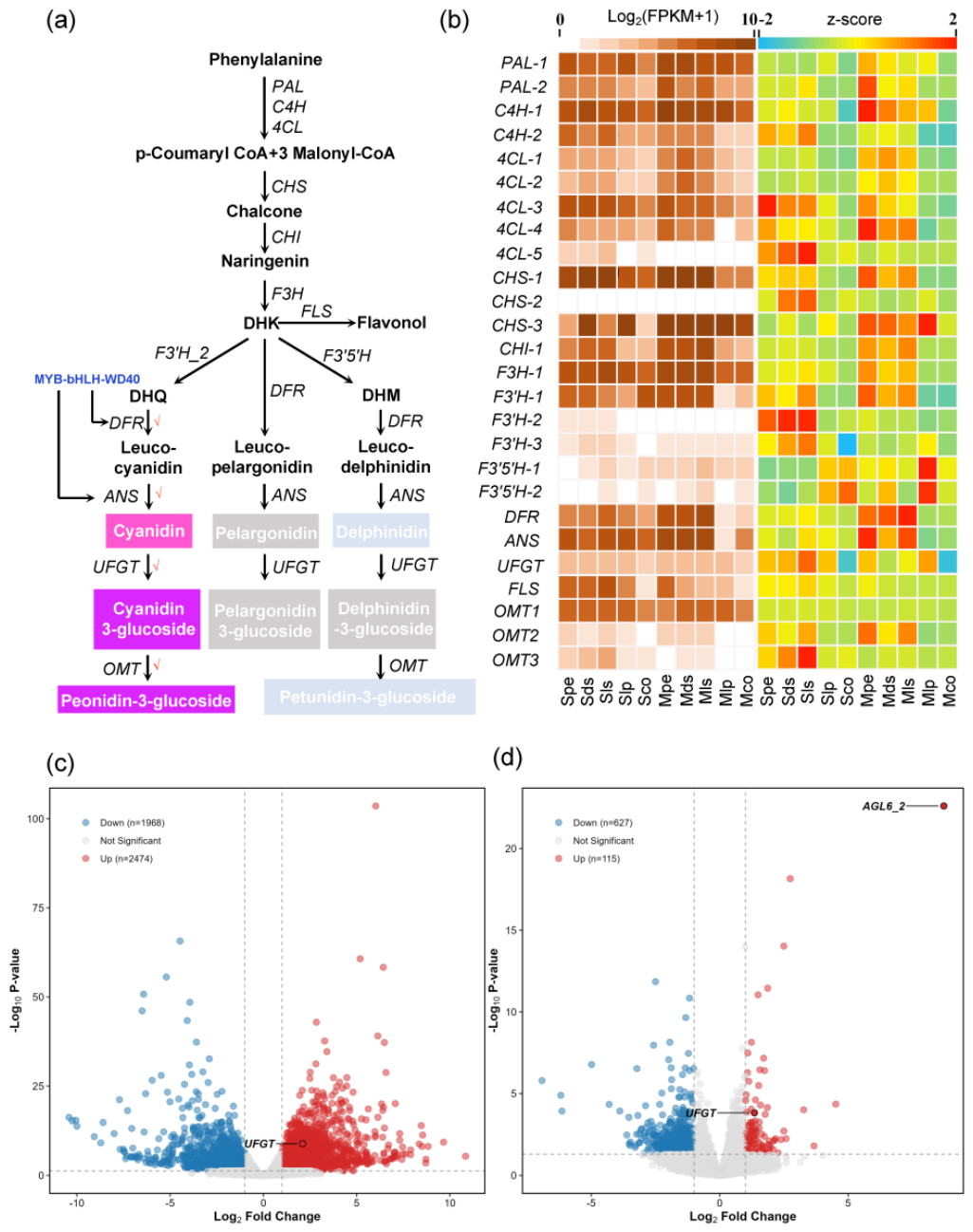 Preprints 226188 g005