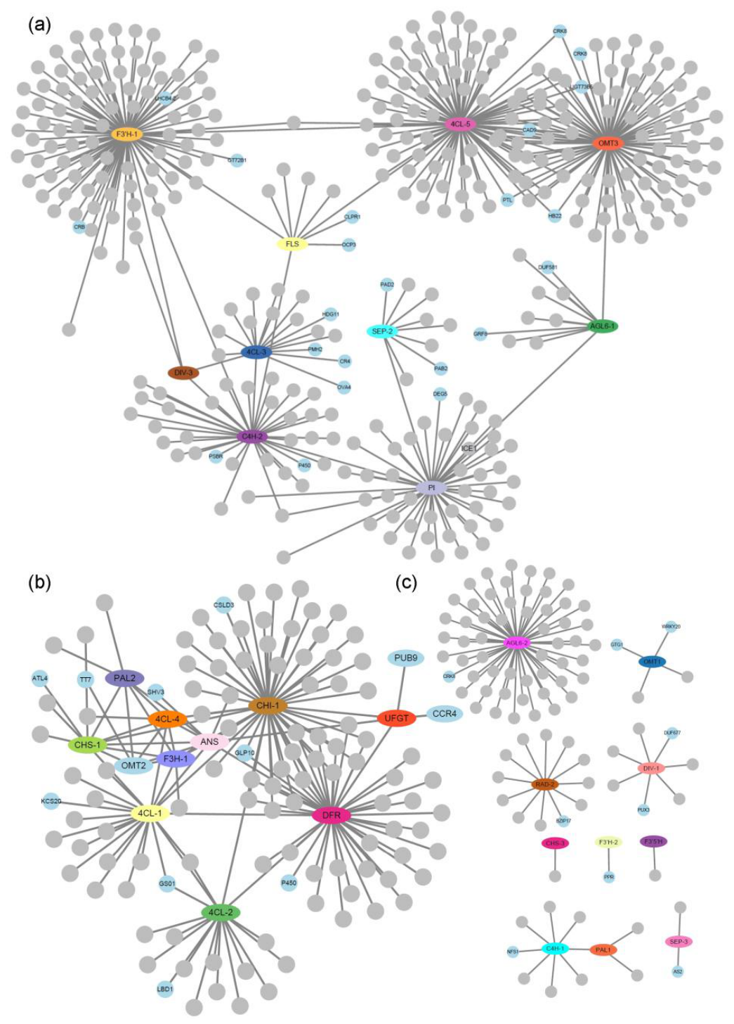 Preprints 226188 g006