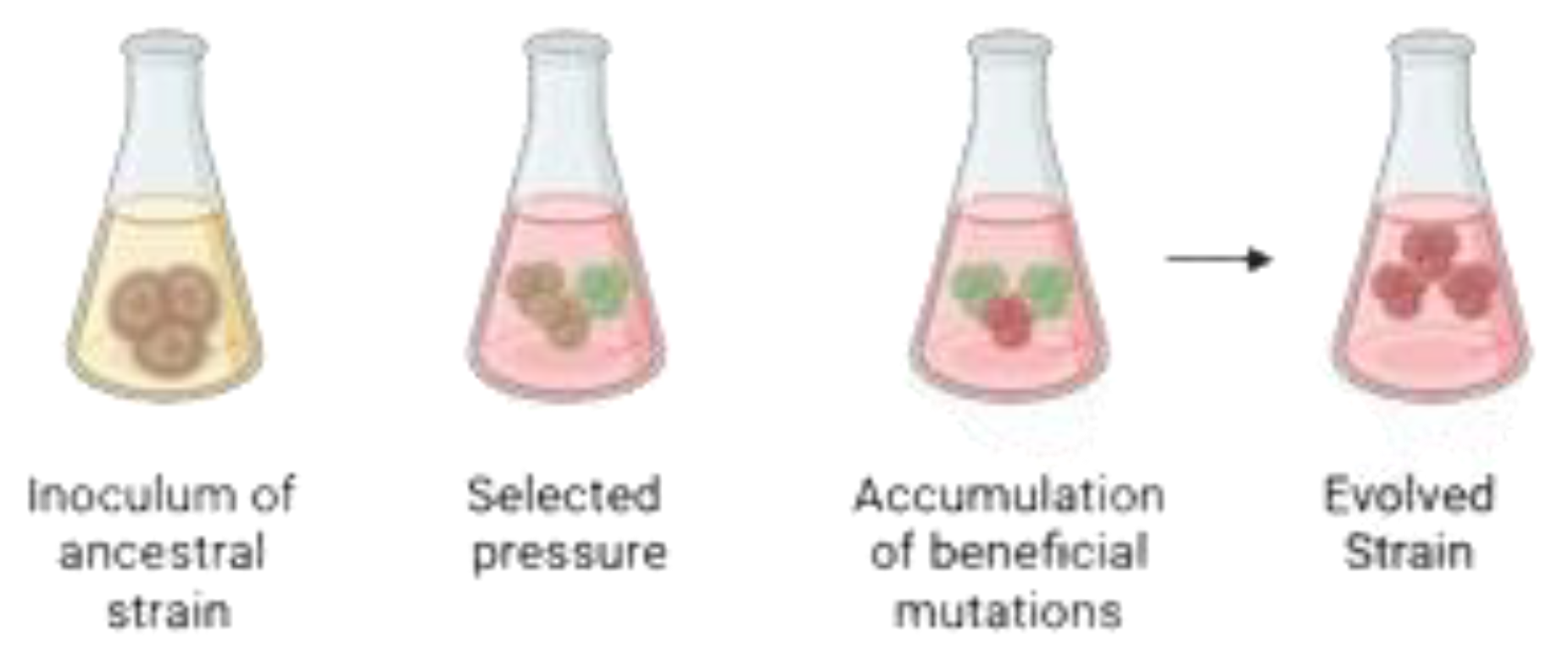Preprints 162297 g003