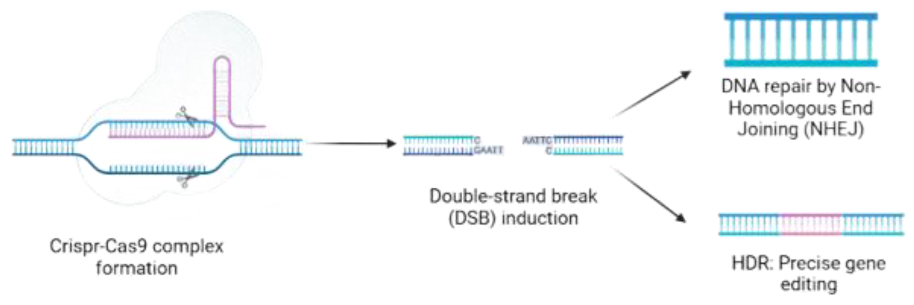 Preprints 162297 g004
