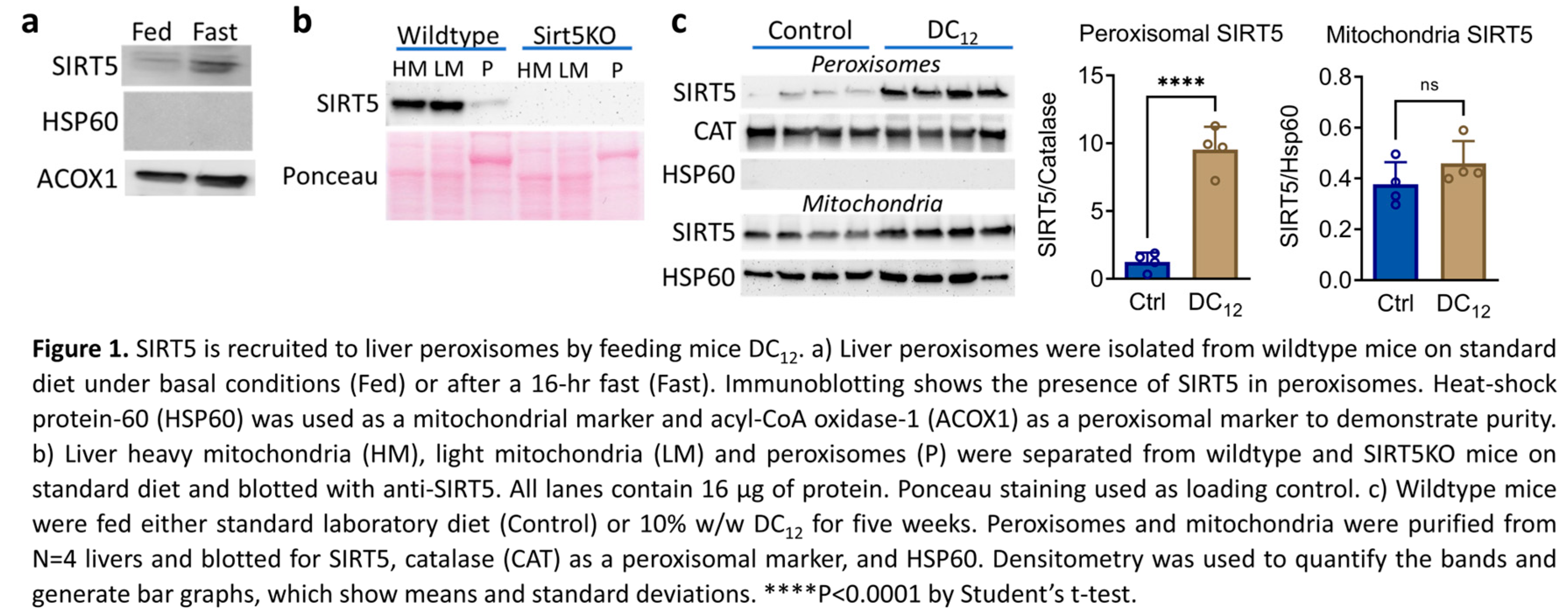 Preprints 137531 g001