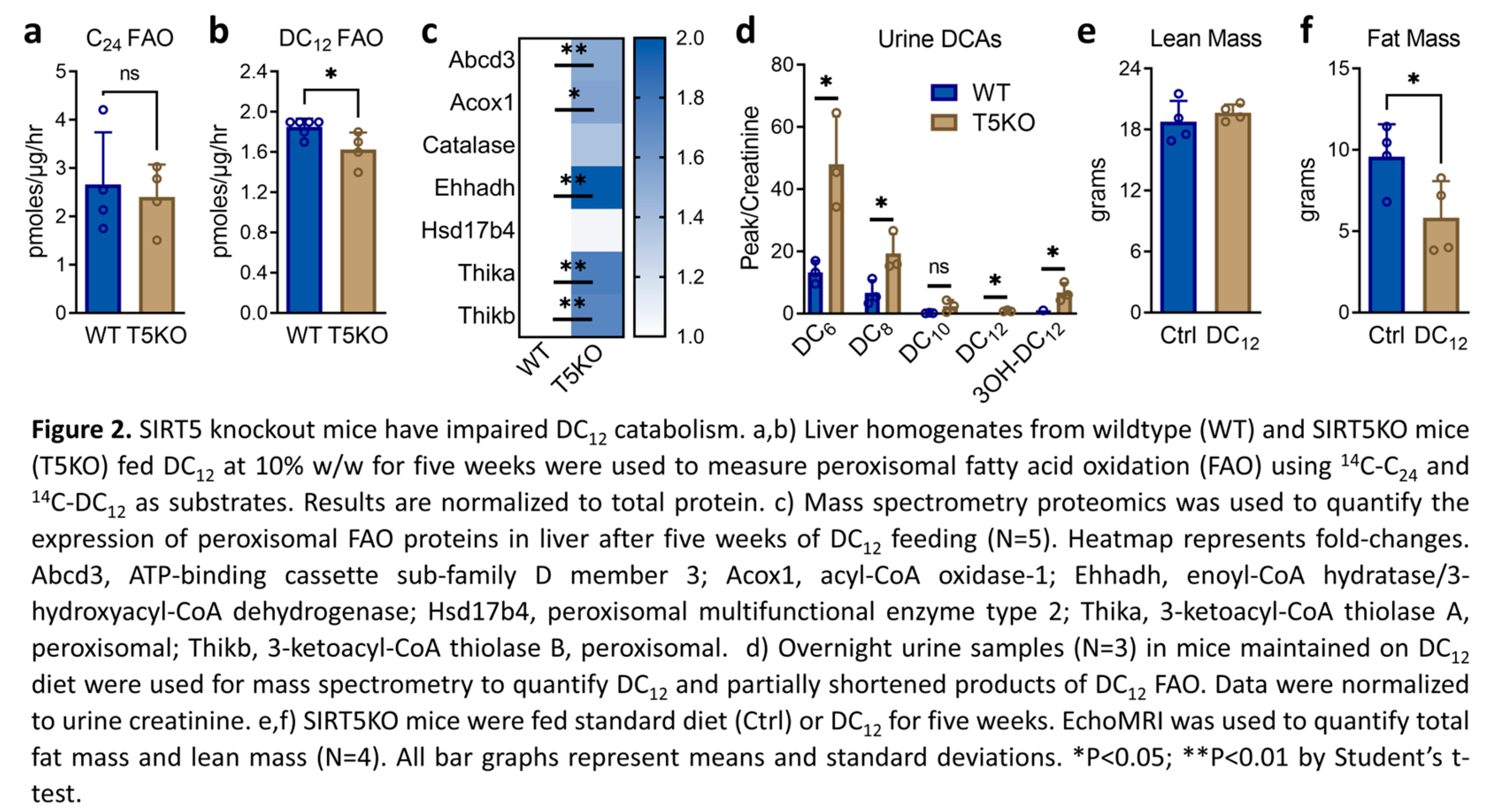Preprints 137531 g002