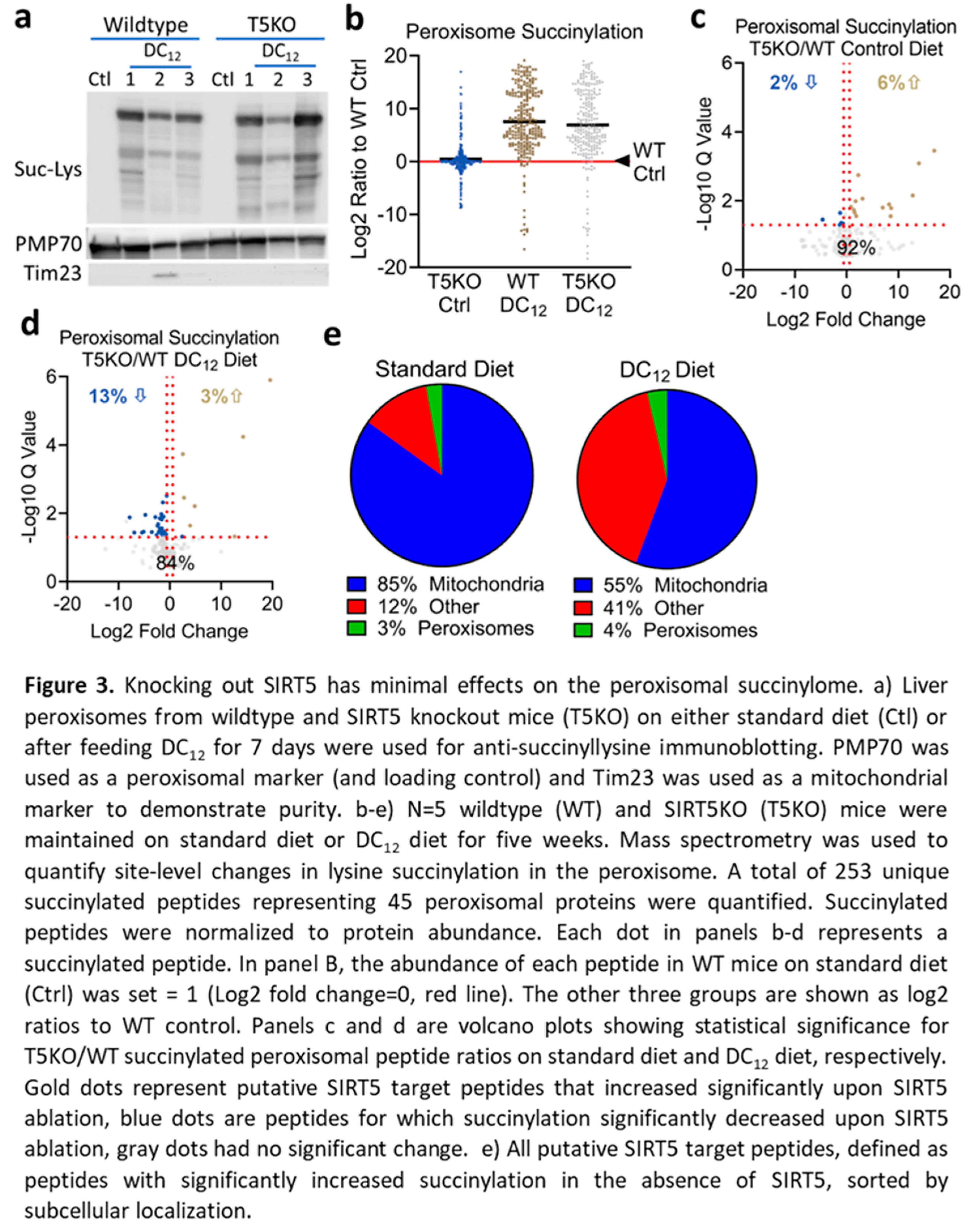 Preprints 137531 g003