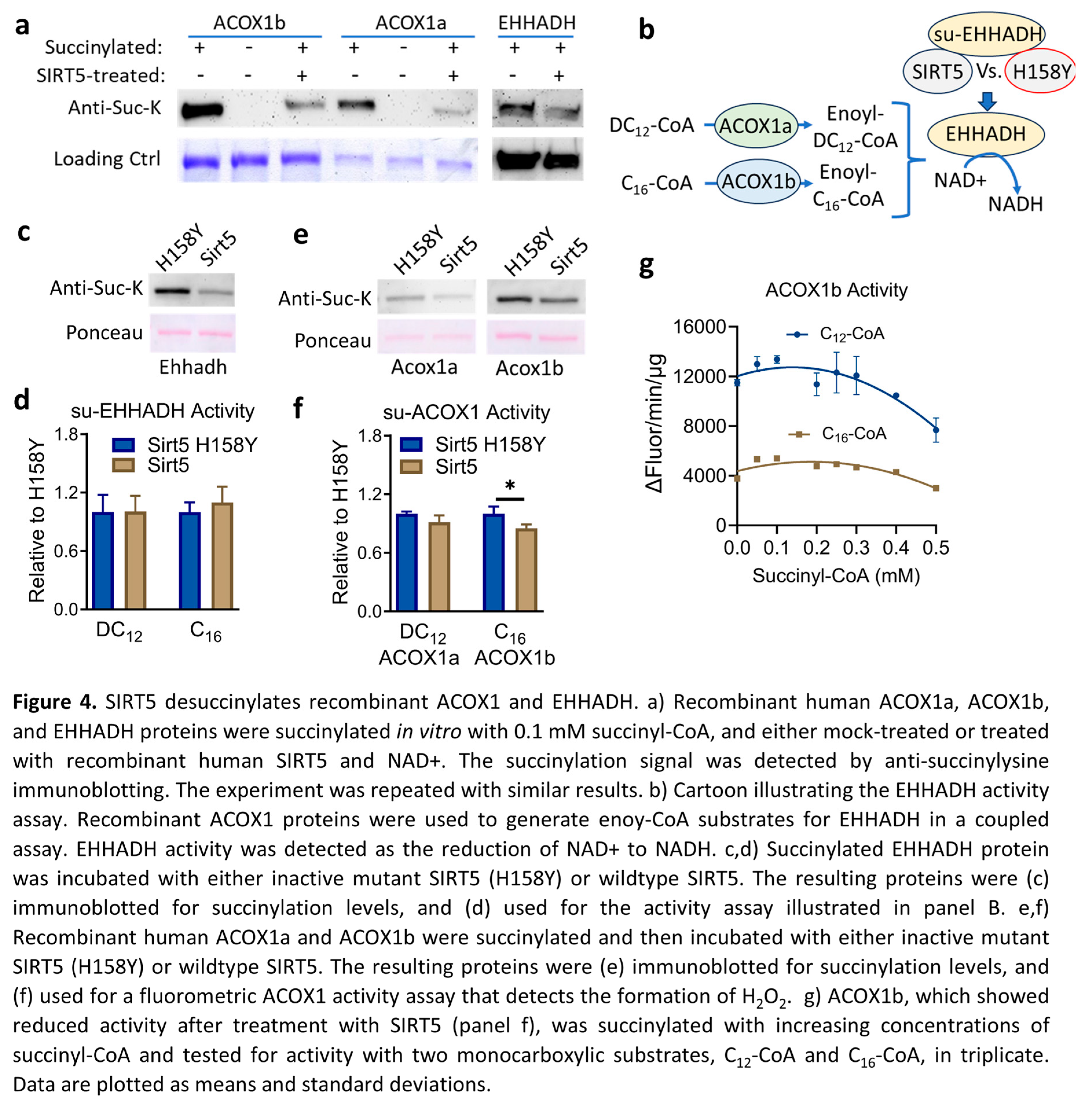 Preprints 137531 g004