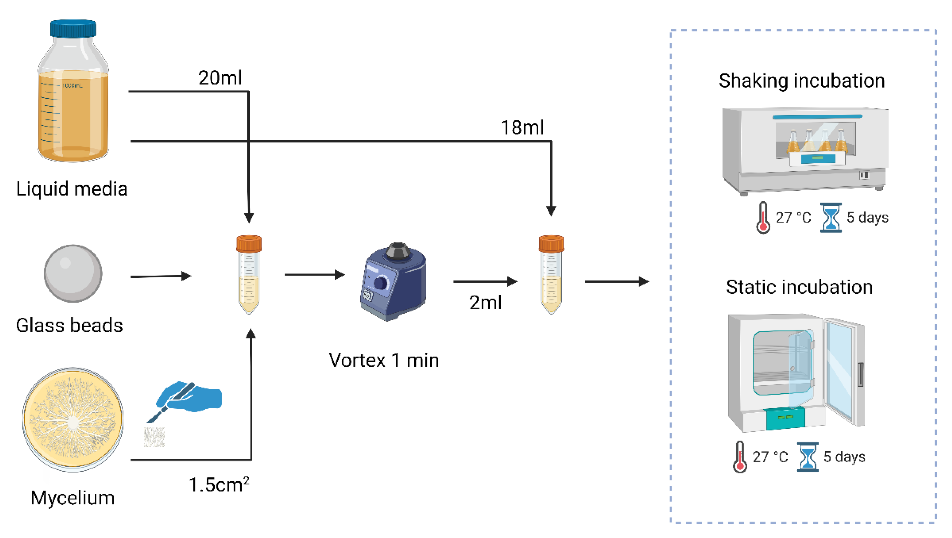 Preprints 142505 g001