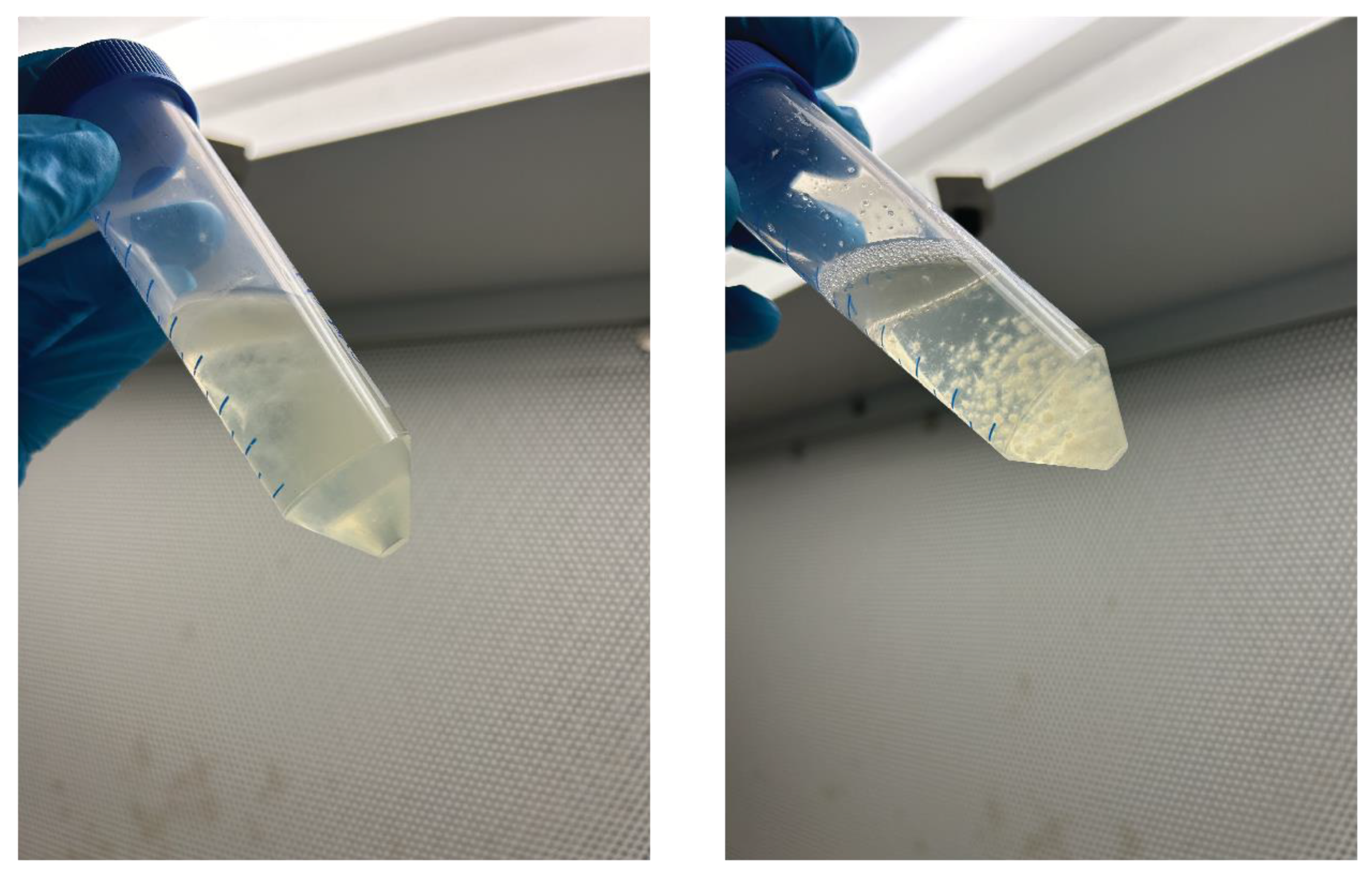 Preprints 142505 g003