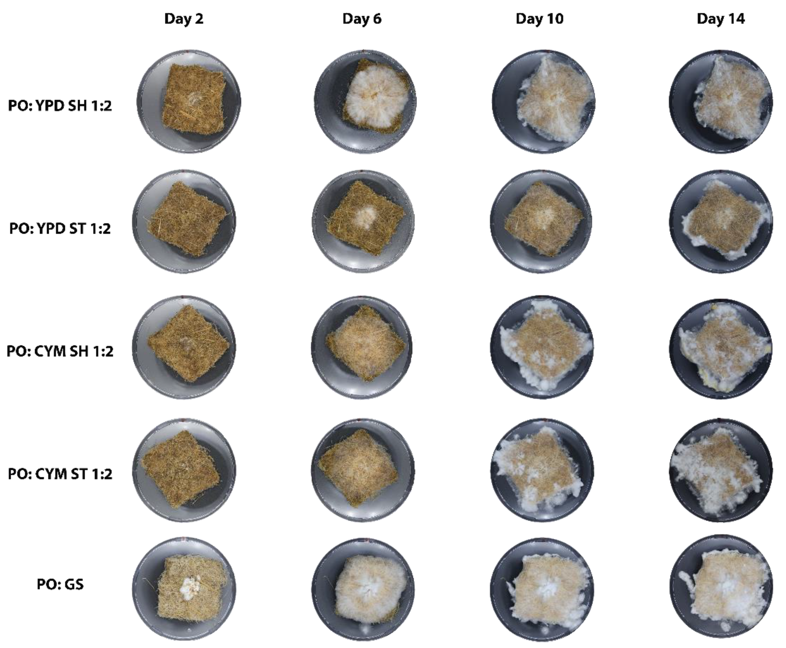 Preprints 142505 g005
