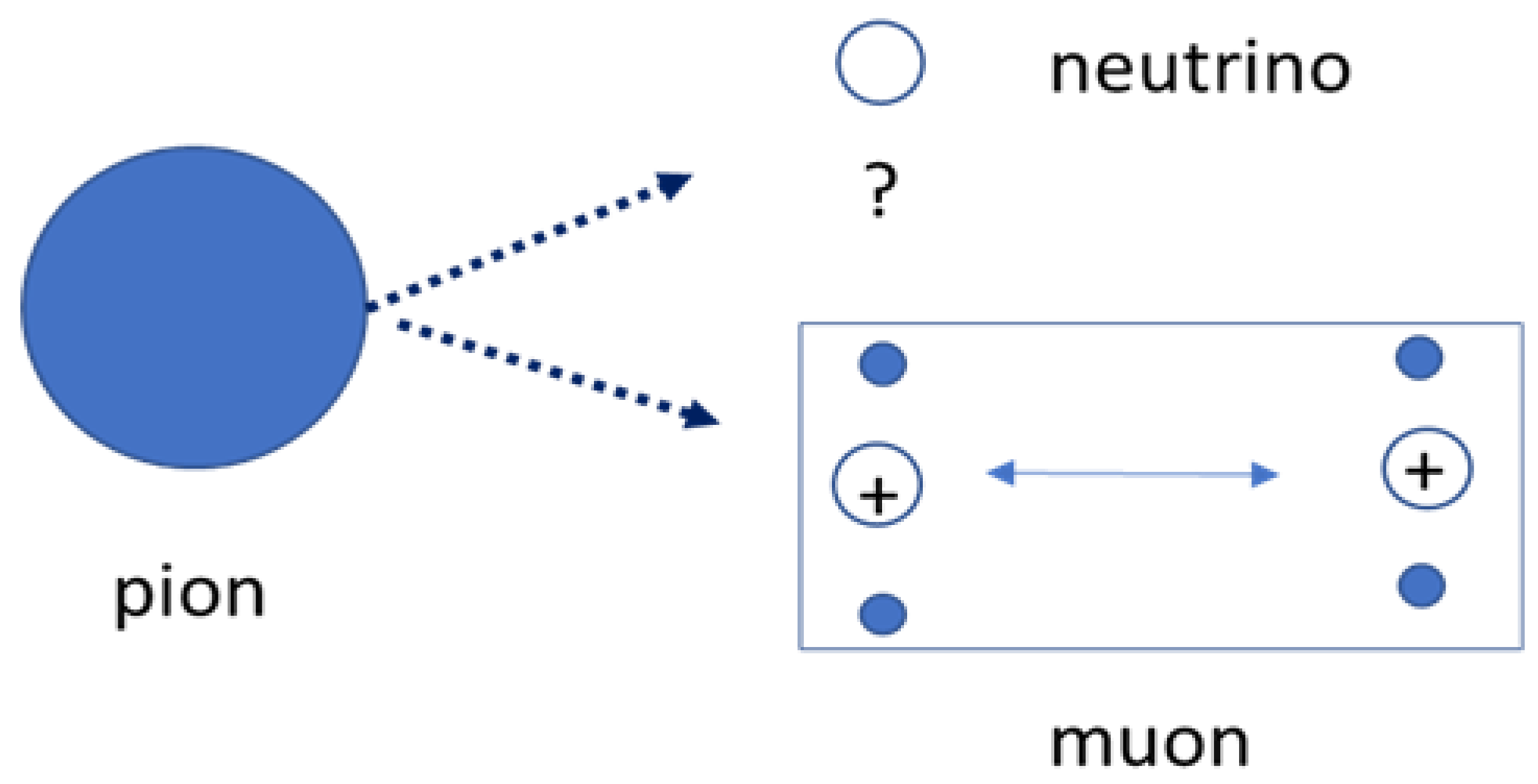 Preprints 191964 g002