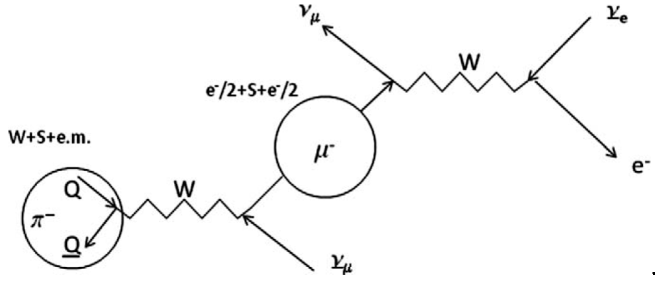 Preprints 191964 g003