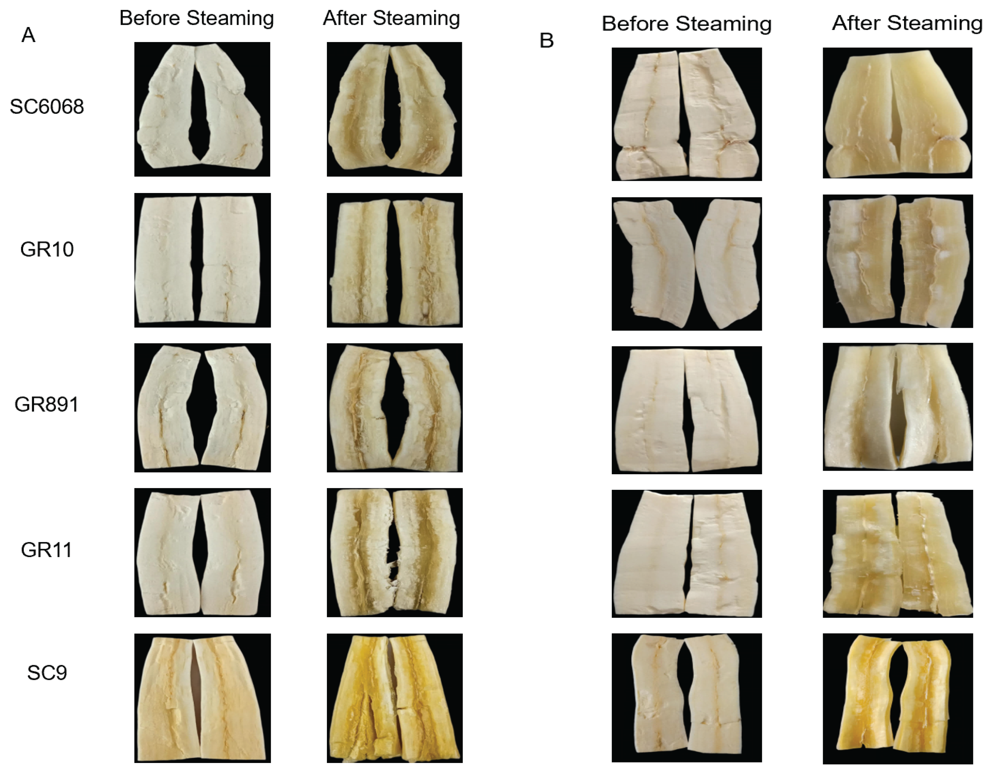 Preprints 195712 g001