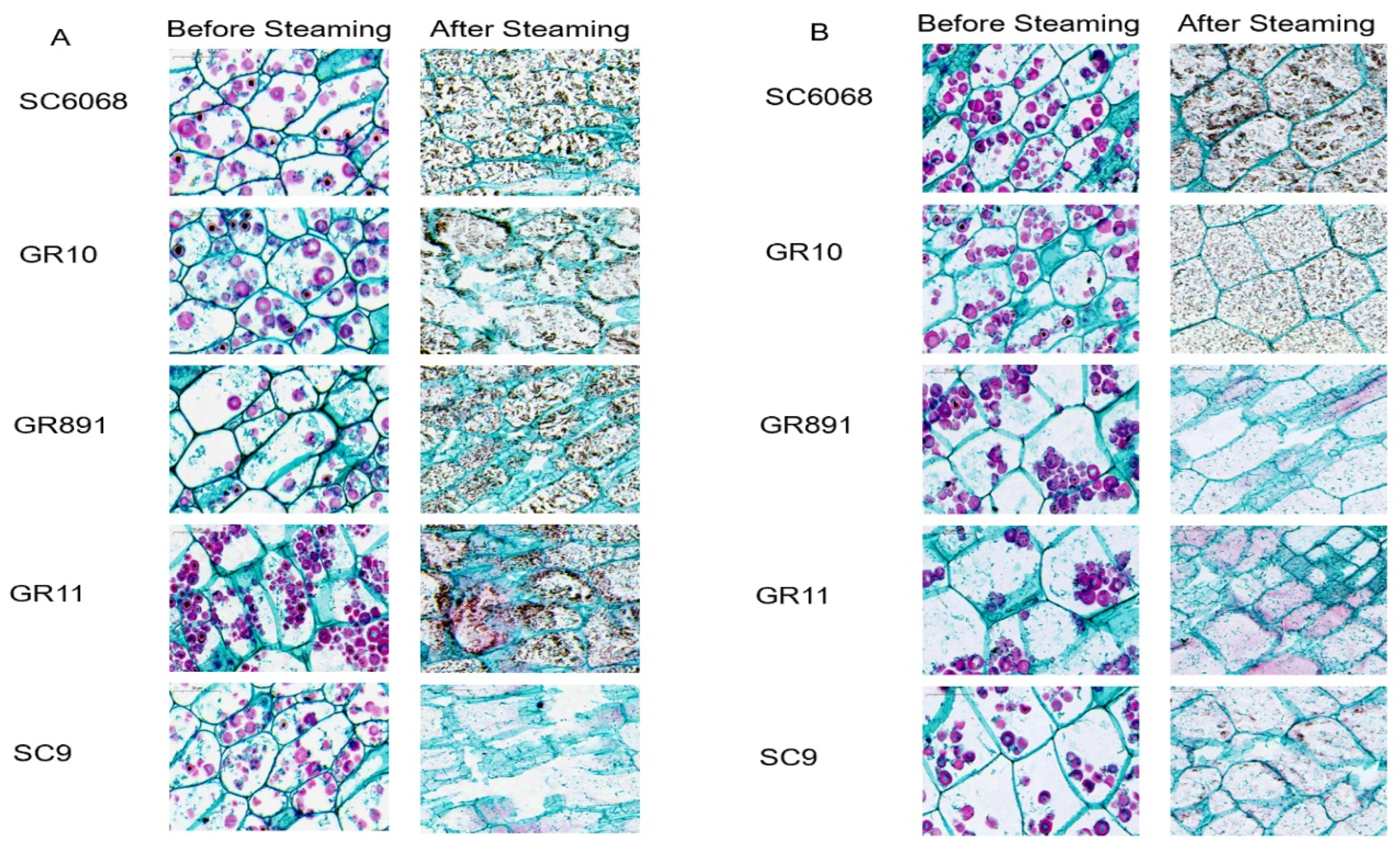 Preprints 195712 g003