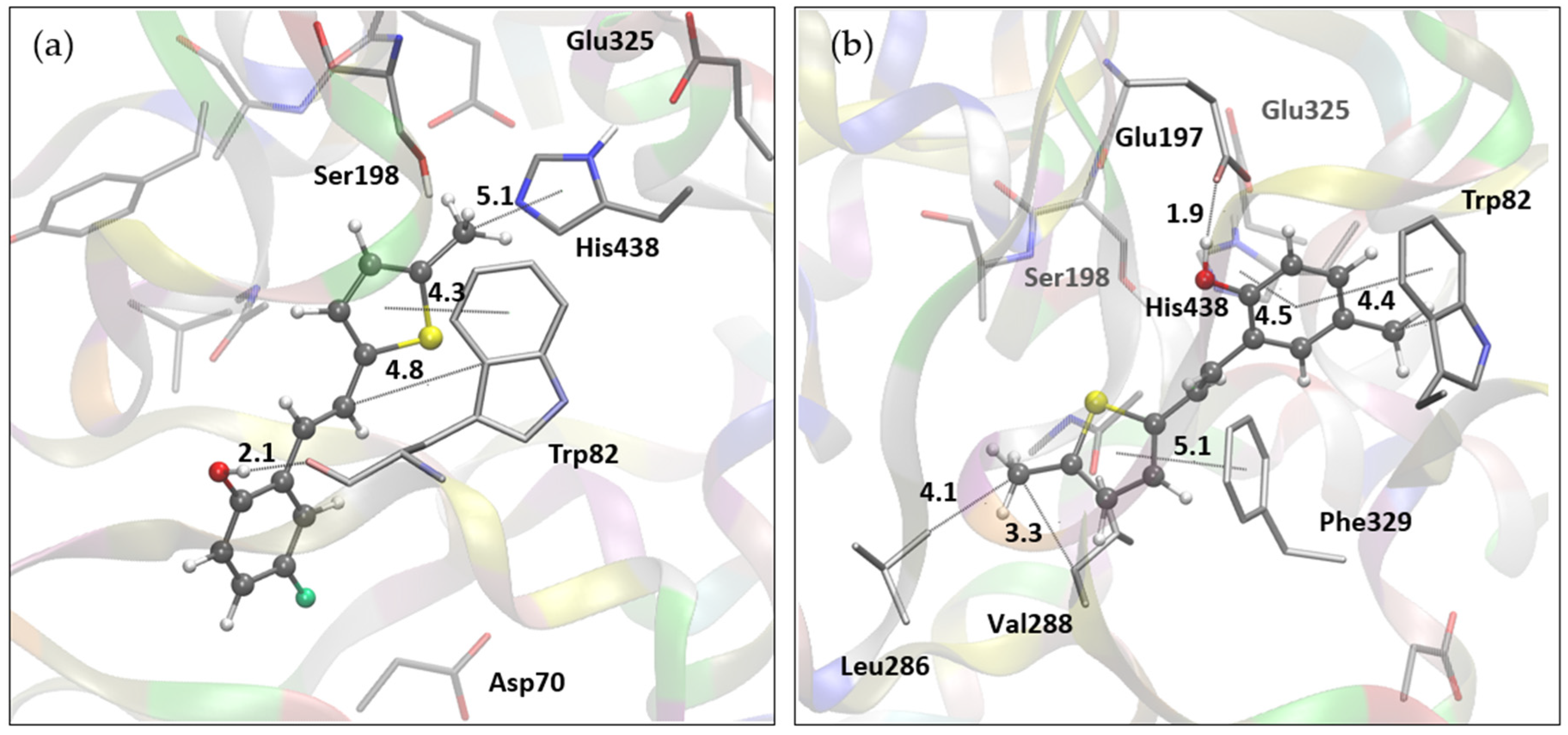 Preprints 110005 g008