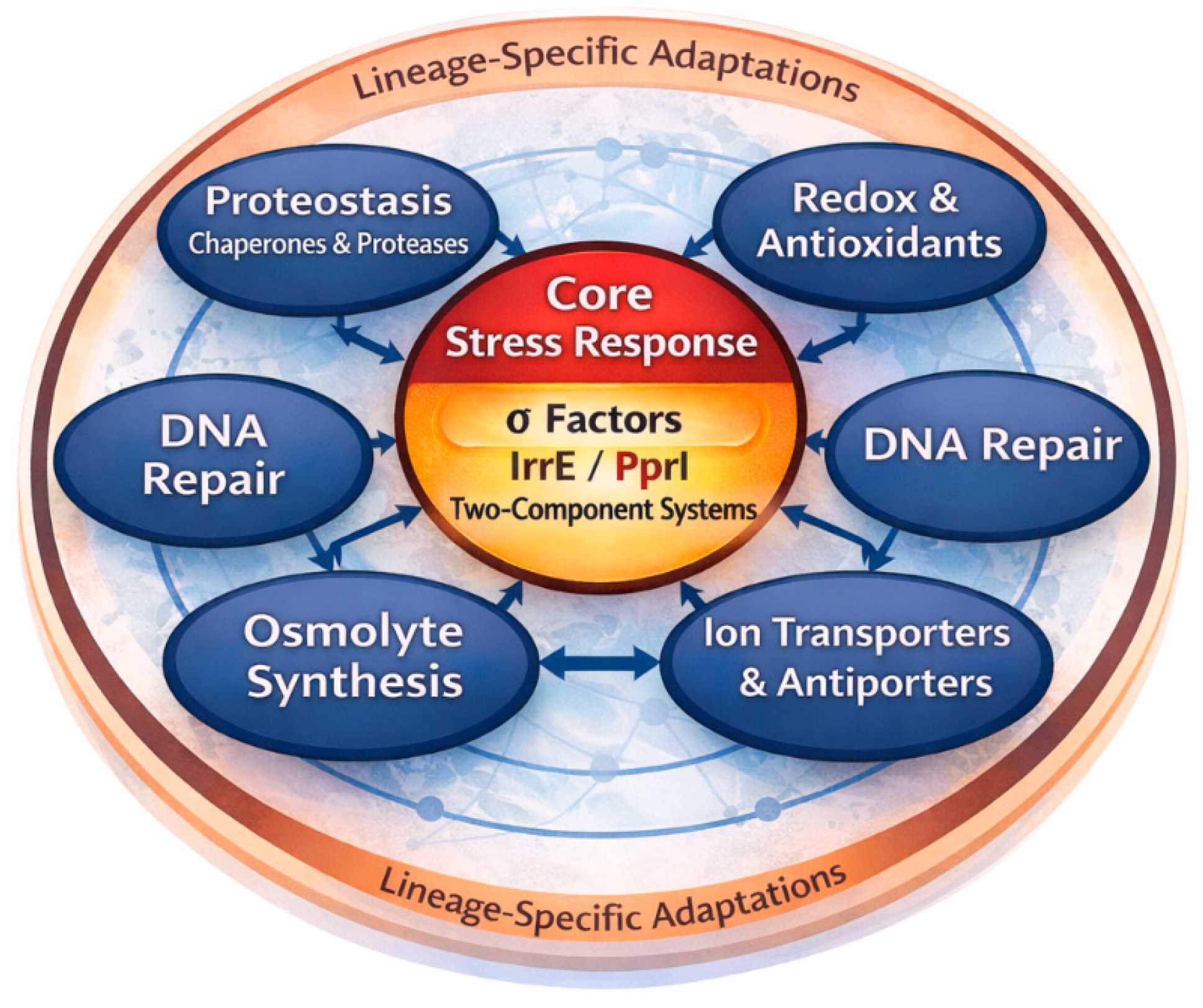 Preprints 200626 g003