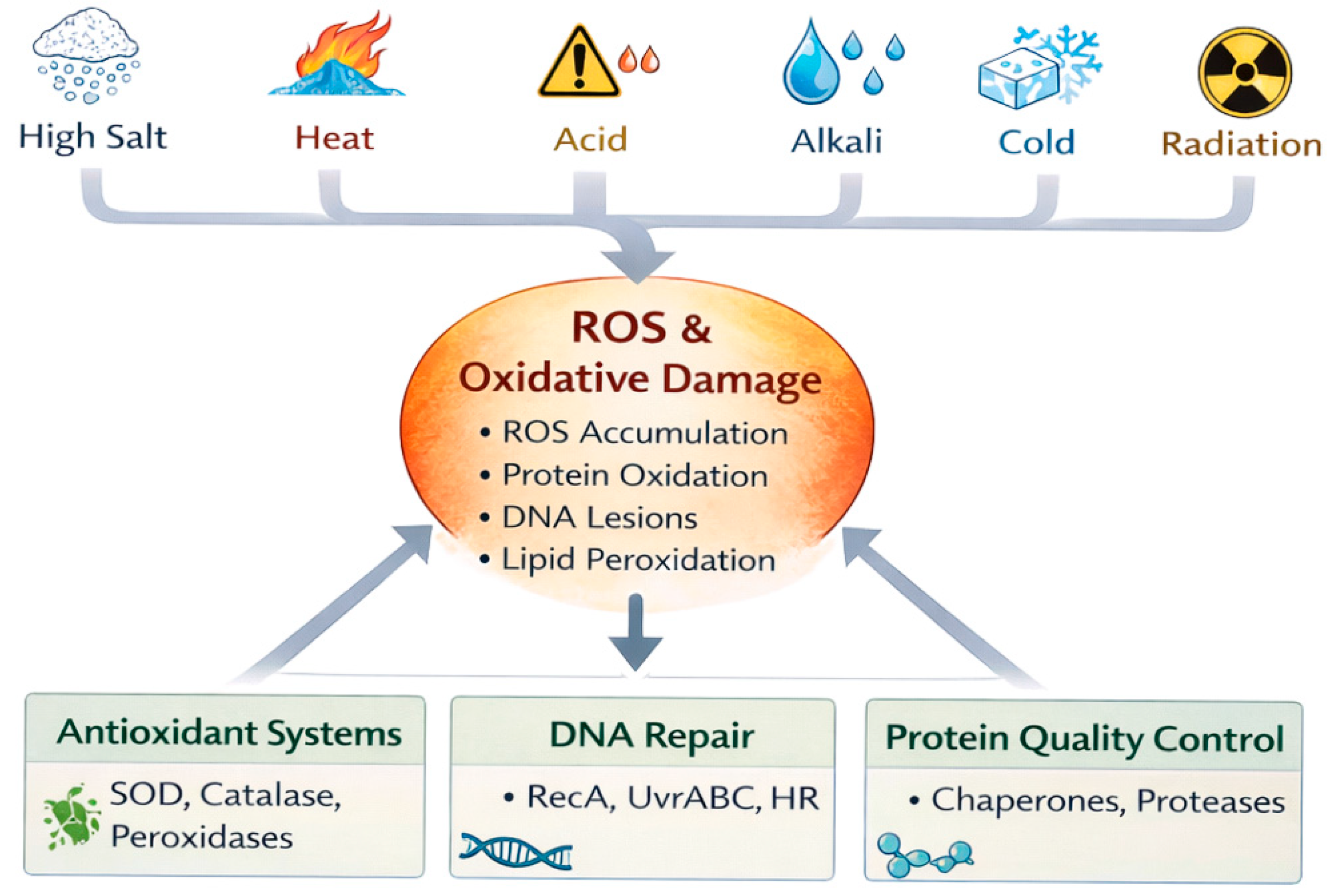 Preprints 200626 g004