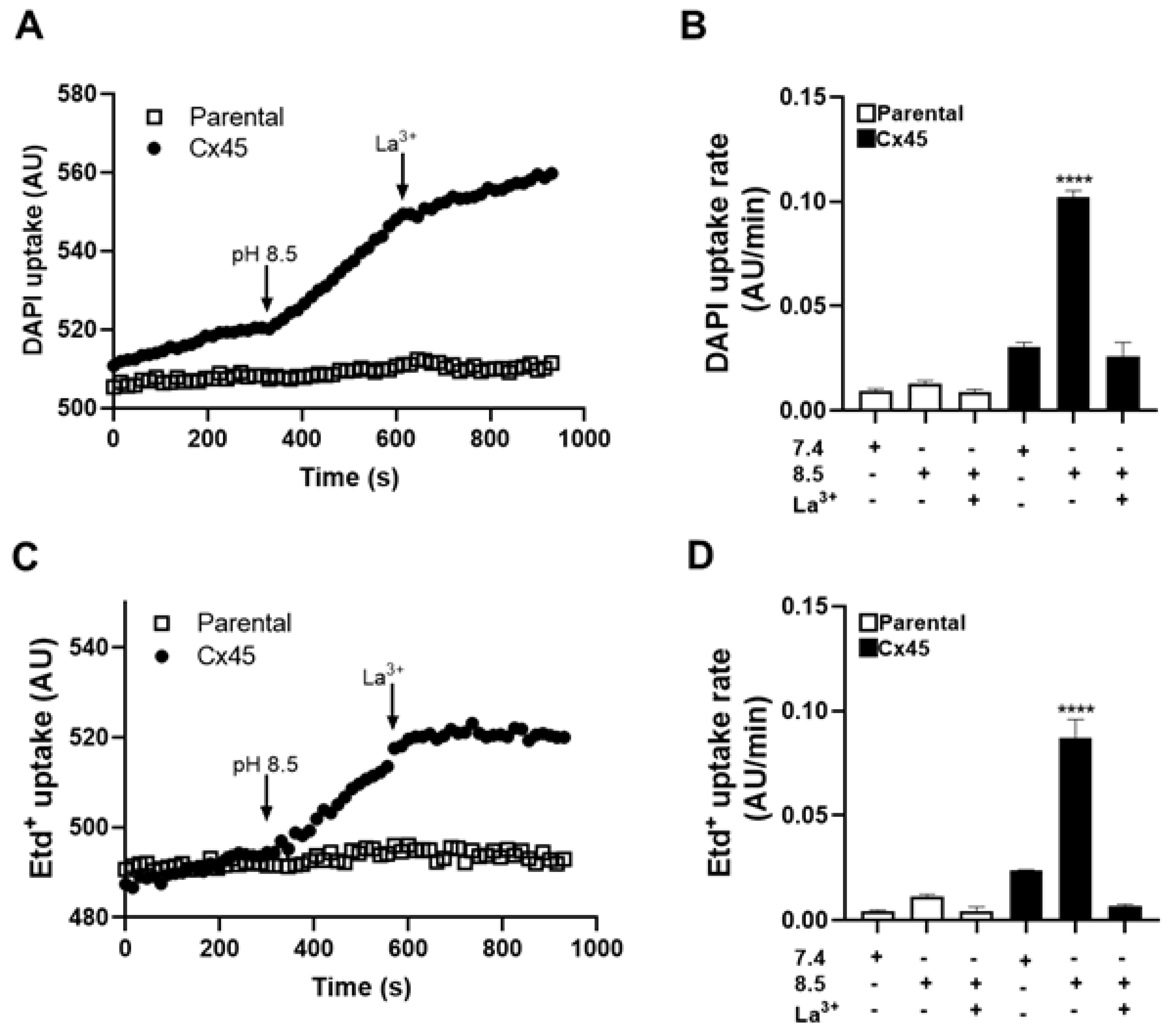 Preprints 192529 g001