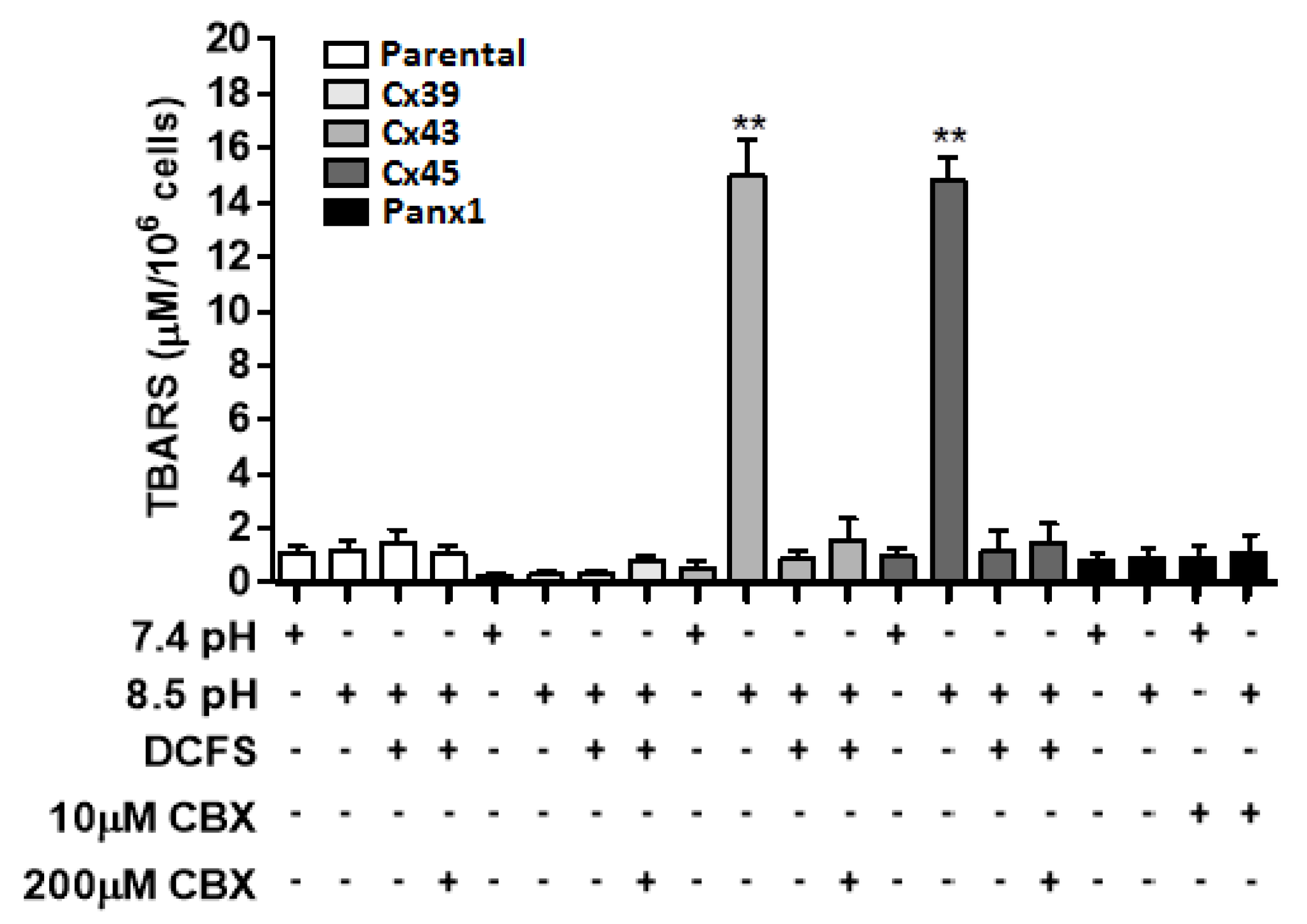 Preprints 192529 g003