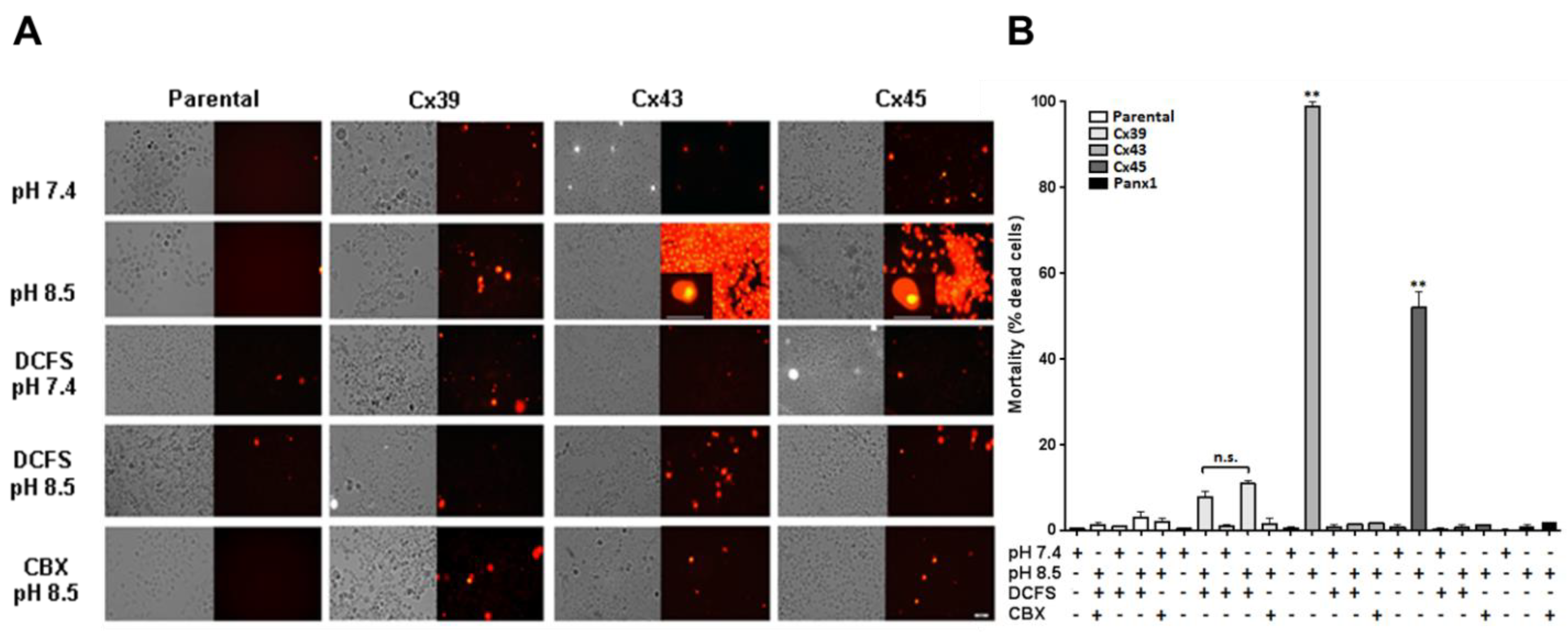 Preprints 192529 g004