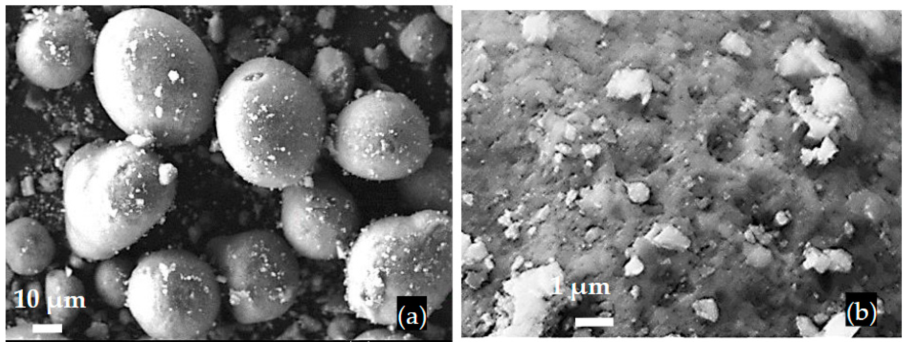 Preprints 93411 g002