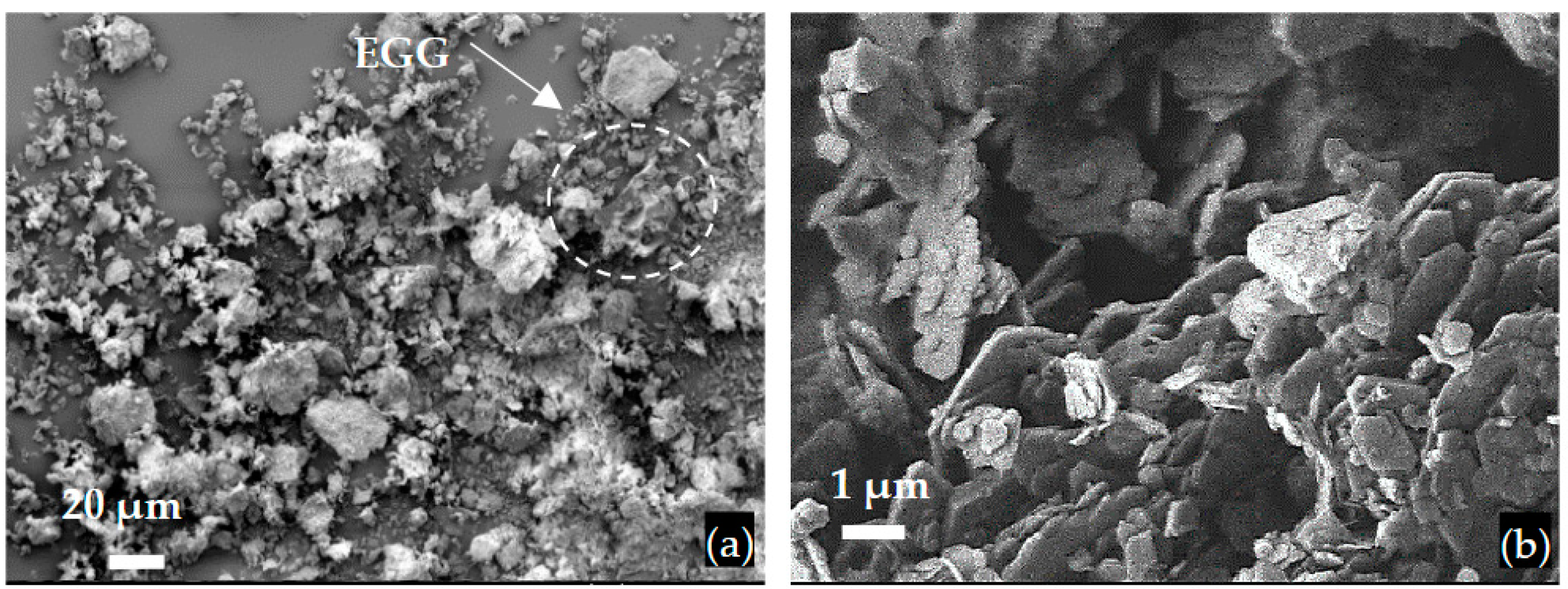 Preprints 93411 g003