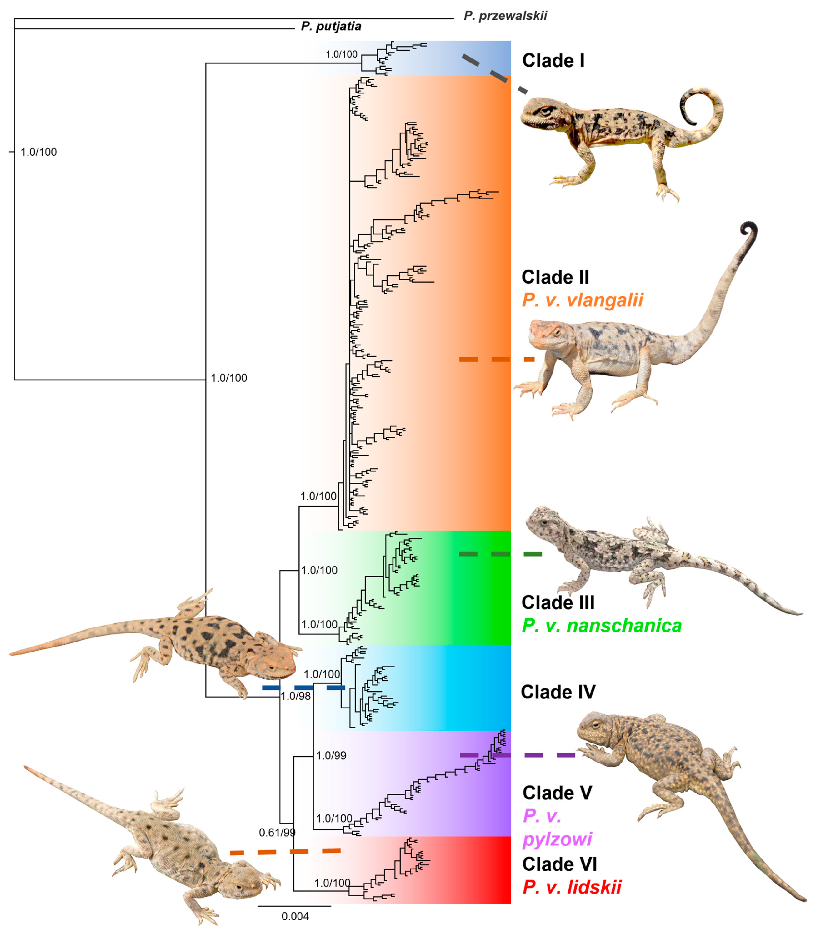 Preprints 141555 g002