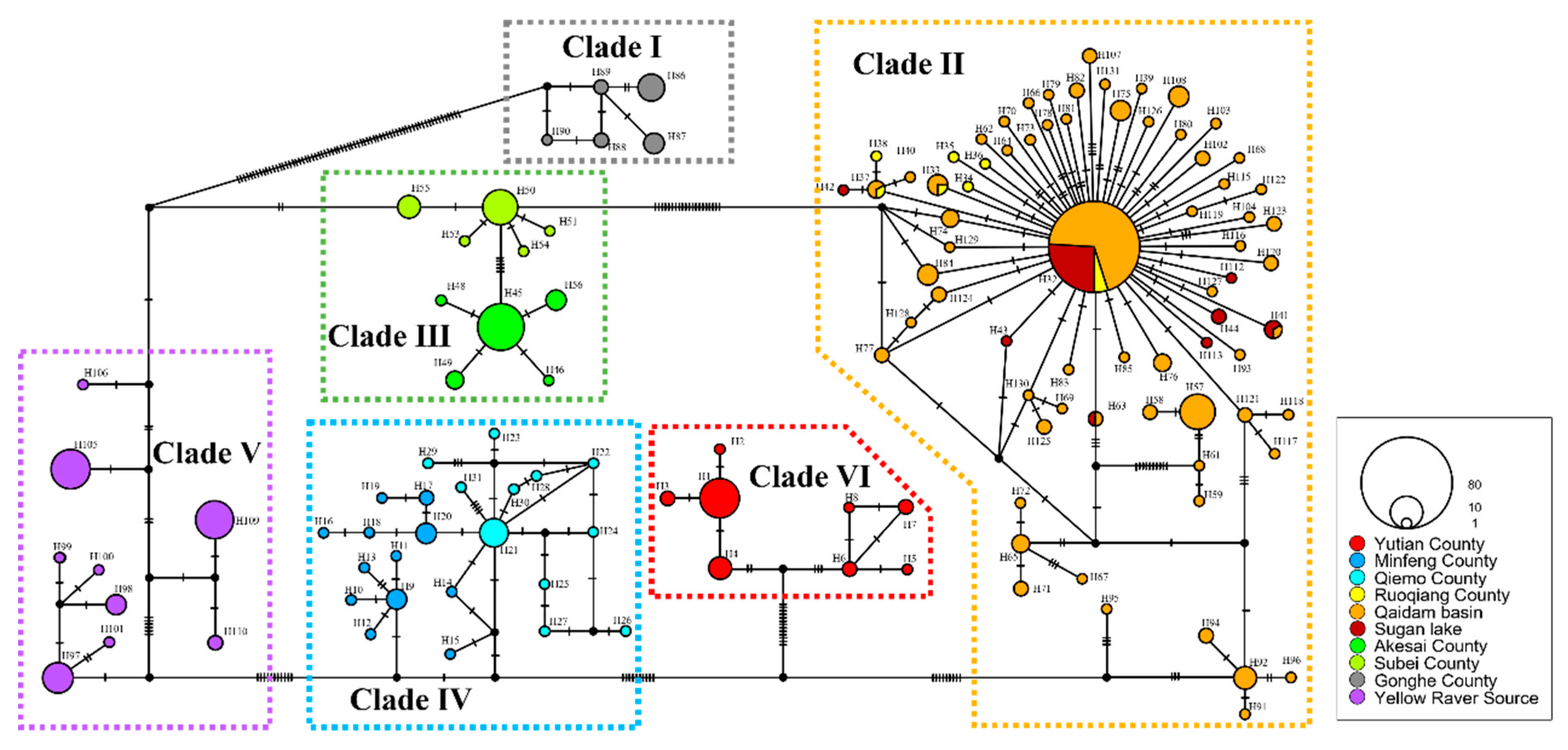 Preprints 141555 g003