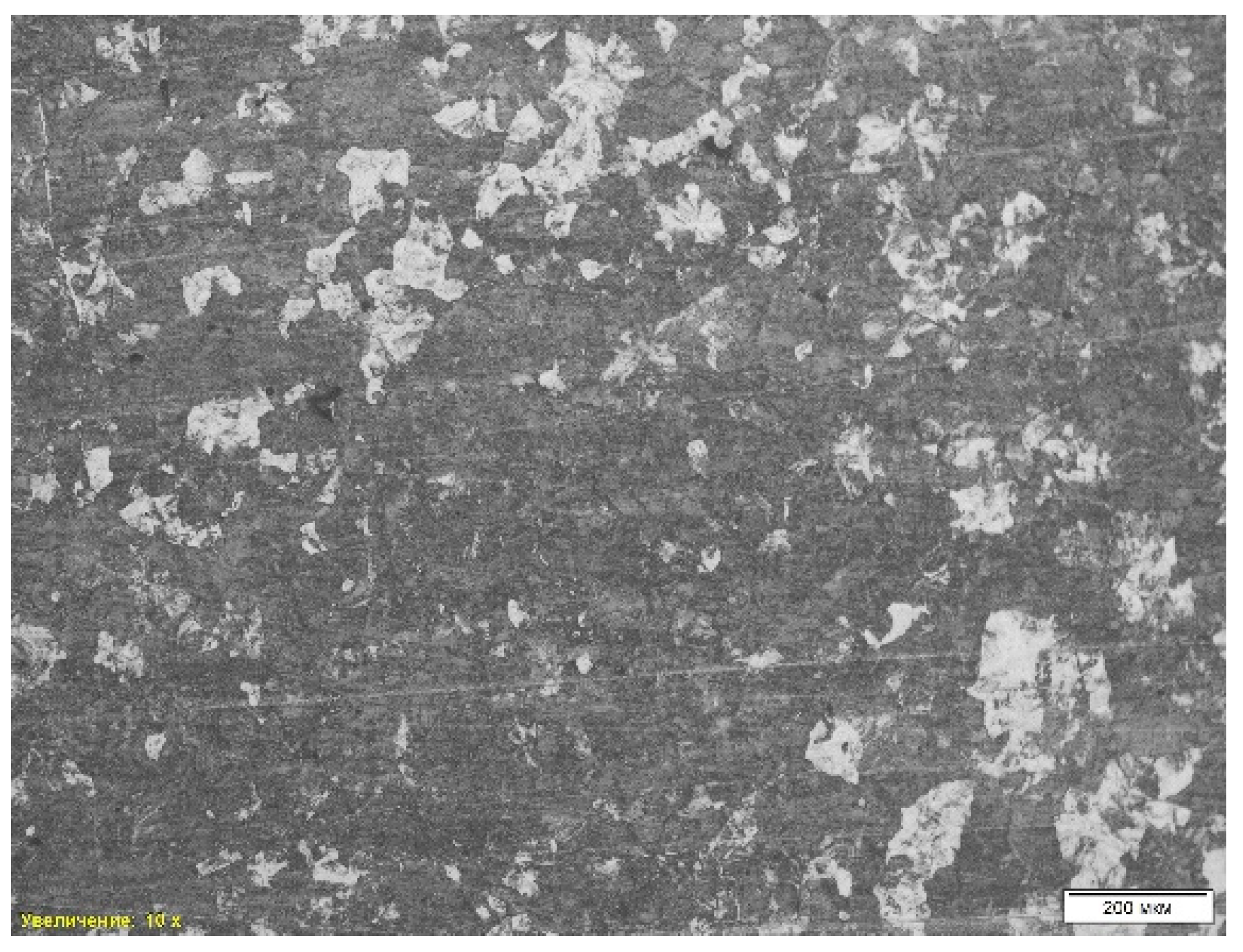 Preprints 143268 g004