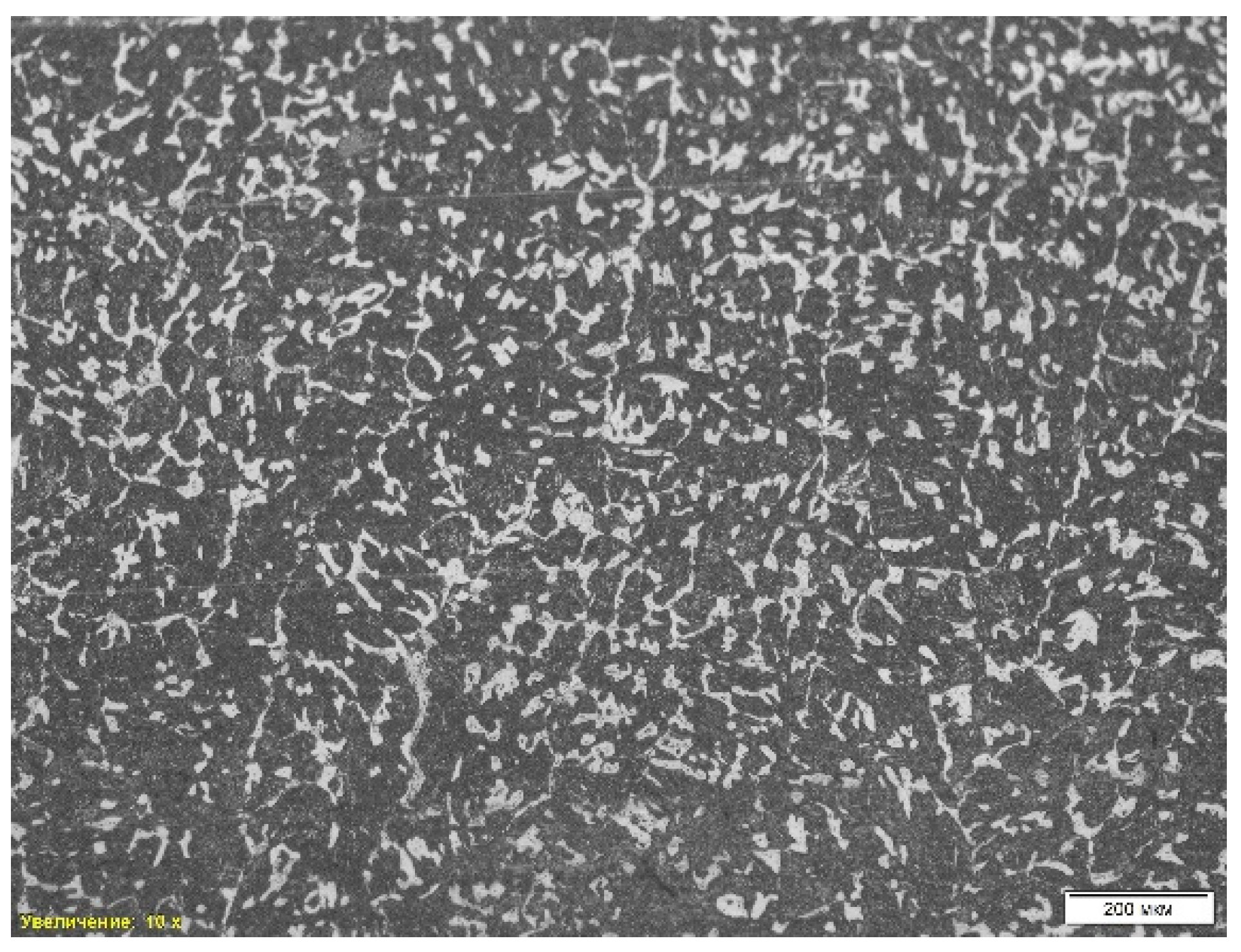 Preprints 143268 g005