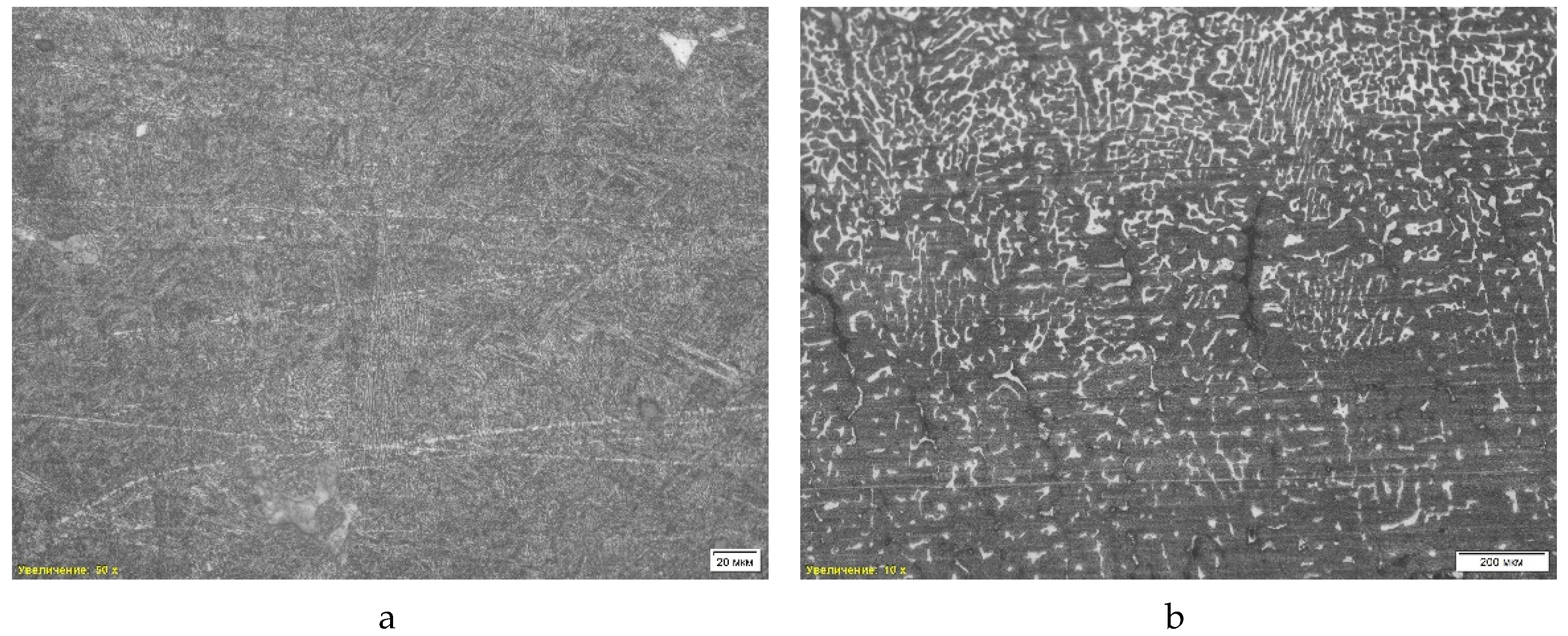 Preprints 143268 g008